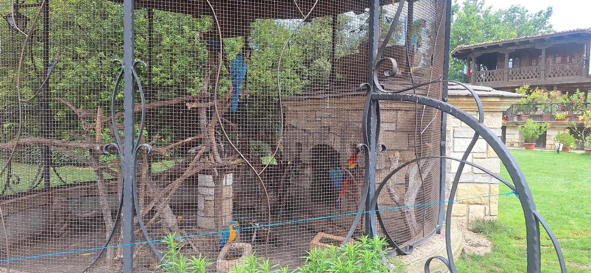 The image shows a large outdoor aviary enclosure containing several colorful parrots. The aviary is constructed with a wire mesh exterior and features natural elements such as branches and rocks for the birds to perch on. In the background, a traditional Bulgarian wooden house with a balcony is visible, surrounded by a well-maintained lawn and potted plants. The overall scene suggests a bird sanctuary or zoo located in the city of Kalimantsi, Bulgaria, emphasizing a harmonious blend of nature and local architecture.