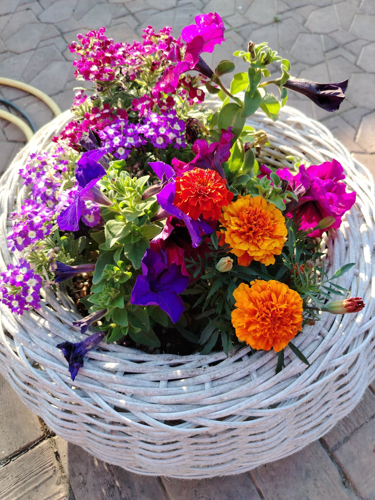 A close-up, high-angle shot captures a white woven basket overflowing with a vibrant assortment of flowers, predominantly in shades of purple, pink, and orange. The flowers include petunias, marigolds, and small purple blooms, creating a dense and colorful display. The basket rests on a paved surface, possibly a patio or walkway, with glimpses of a yellow hose in the upper left corner. The scene appears to be outdoors, with natural lighting casting shadows. The location is specified as Рассвет, Russia.