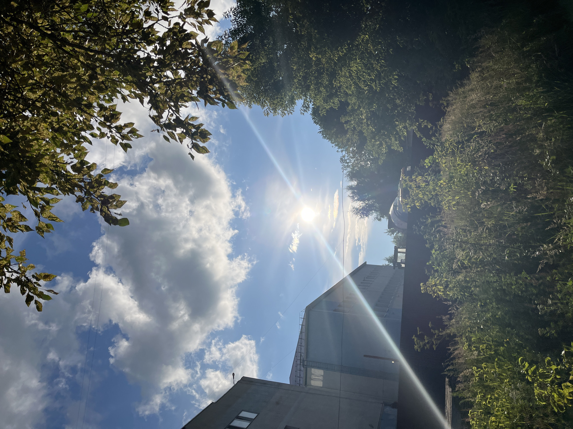 The image depicts a view from a grassy area looking towards a light blue industrial building under a bright, partially cloudy sky. The sun is positioned to the right of the frame, creating a strong lens flare that streaks across the scene, obscuring details on the building's facade. Overhead, tree branches with green and yellowing leaves frame the upper portion of the image. In the foreground, tall grasses and weeds are illuminated by the sunlight. The building appears to be a multi-story structure with rows of windows. The overall atmosphere suggests a sunny day in an urban or semi-urban environment. The specific location in the city of Ivanovo, Russia cannot be determined from the visual information provided in the image.