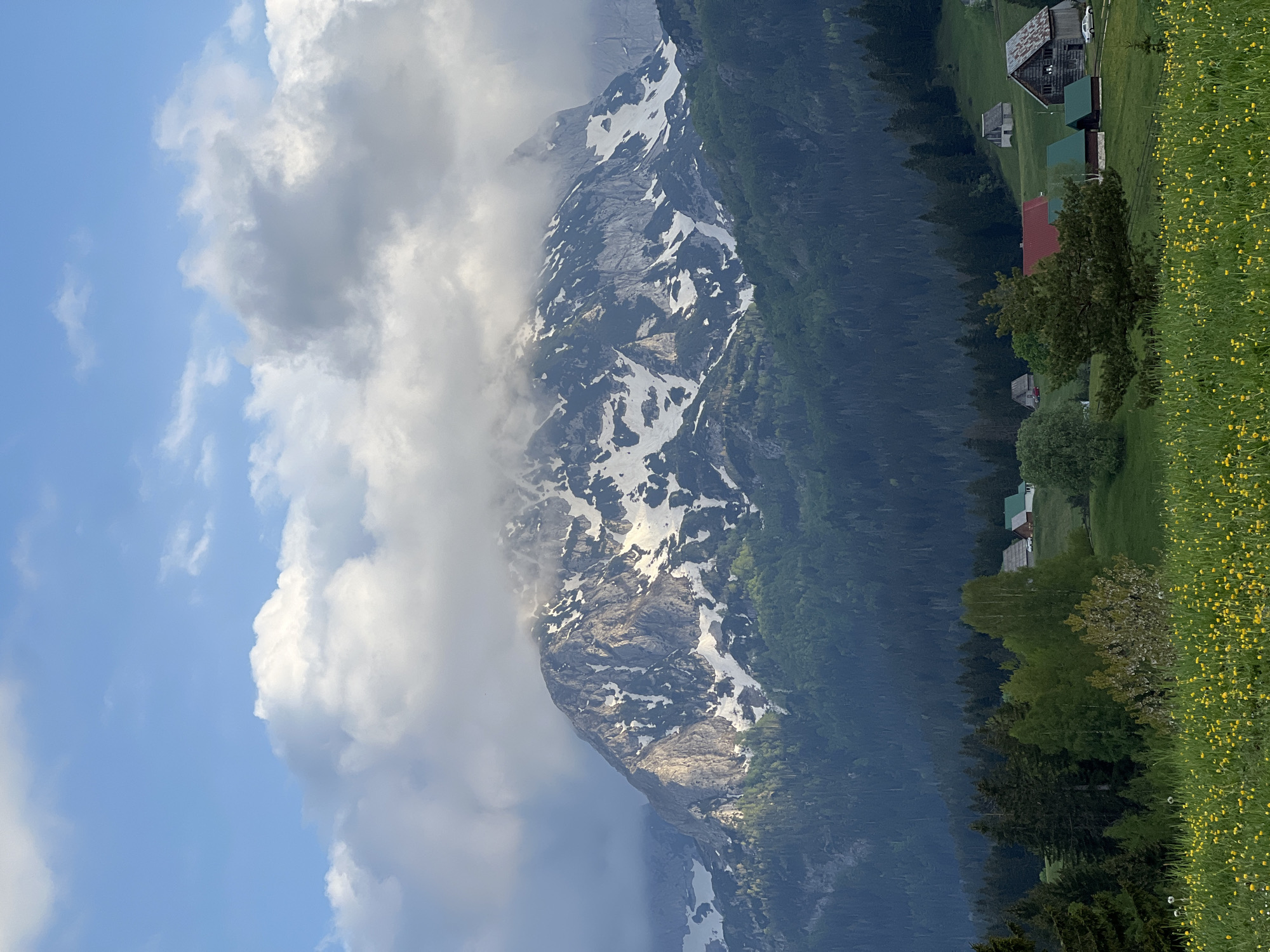 The image depicts a mountain landscape in the vicinity of Bosača, Montenegro. A large, partially snow-covered mountain dominates the view, with clouds obscuring its peak. The lower slopes are covered in dense forest. To the right, a green meadow dotted with yellow flowers leads to a cluster of buildings, likely small houses or barns. A clear, blue sky is visible in the upper-left. The image is rotated counter-clockwise by 90 degrees.
