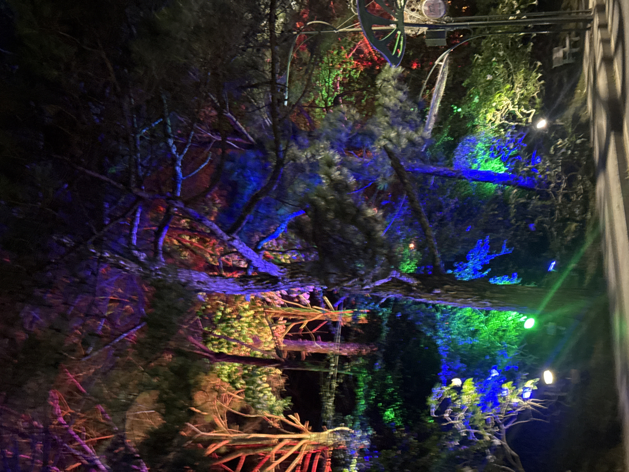 This image depicts a nighttime scene in a park or garden, likely Phường Xuân Hương in Đà Lạt, Vietnam, illuminated by vibrant colored lights. The lighting, predominantly blue, green, and purple, casts an ethereal glow on the trees and foliage. Several trees are visible, with branches reaching upwards and outwards, some appearing bare and skeletal while others are dense with leaves. The ground is a paved pathway, reflecting the colorful lights. In the background, hints of other trees and vegetation are visible, as well as what appears to be a park bench. A lamppost with a decorative element is positioned on the right side of the frame. The overall impression is one of a magical and festive outdoor environment, likely set up for a special event or exhibition.