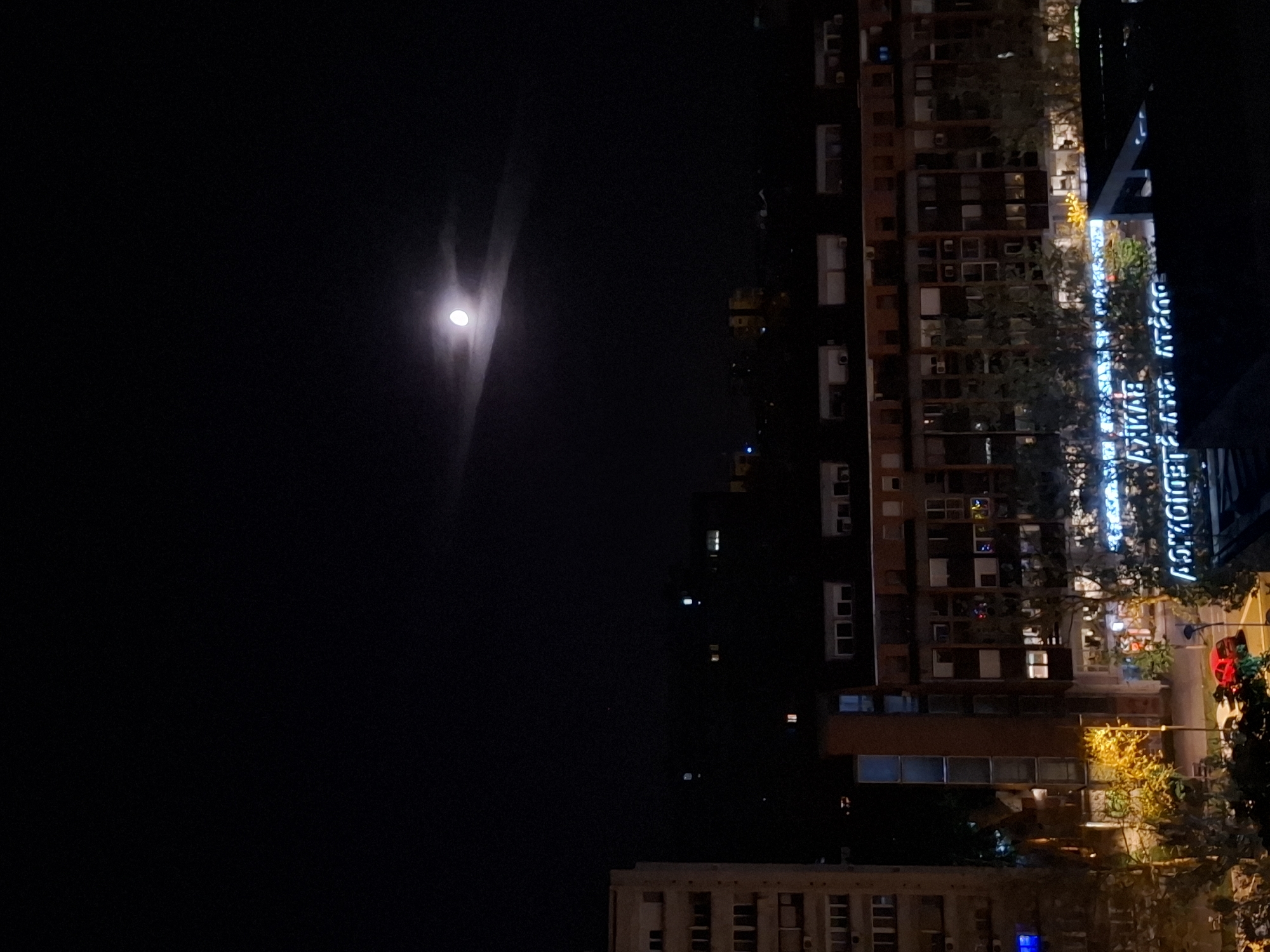 The image shows a night view in Novi Sad, Serbia. The moon is visible in the upper left portion of the image, creating a streak of light in the dark sky. To the right, buildings are visible, illuminated by streetlights and interior lighting. A neon sign, partially obscured by trees, reads "LEDIKOVCI" in Cyrillic. A traffic light with a red signal is visible, partially obscured by trees. Trees are scattered throughout the scene, creating shadows and obscuring details. The environment appears to be residential or commercial with nighttime activity.