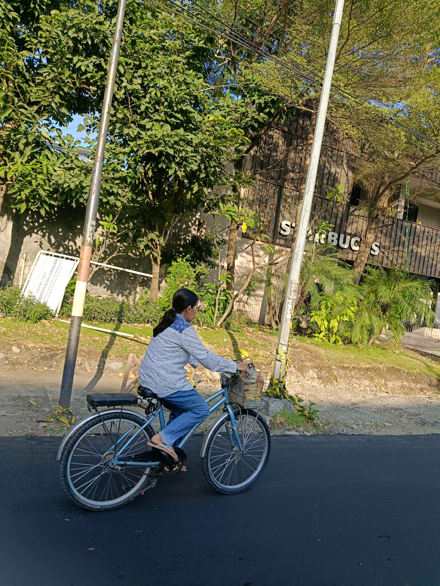 An outdoor, eye-level, medium shot captures a young female with dark hair pulled back in a ponytail riding a light blue bicycle down a paved road. She is facing right, wearing a light blue and white patterned long-sleeved shirt, blue jeans, and brown flip-flops. Her hands are on the handlebars, and a basket is attached to the front of the bicycle, filled with items. The bicycle has a black seat and a silver rear rack. She is positioned in the foreground, with the road extending into the background.
Behind the cyclist, there is a gray concrete wall on the left, with a white sign on it that reads "PEMERINTAH KOTA SURABAYA" and other Indonesian text. Lush green vegetation, including trees with dense foliage and palm-like plants, surrounds the area.
A tall, silver utility pole stands to the left of the cyclist, with yellow and white tape wrapped around its base. Another similar pole is visible further back, behind the cyclist, also with yellow tape. In the background, a building with a brown, textured facade and a balcony with metal railings is visible, with the partial logo of "STARBUCKS" clearly displayed on the building's exterior. The sky is a clear blue. The scene suggests a bright, sunny day in a city environment, likely Surabaya, Indonesia, given the text on the sign.