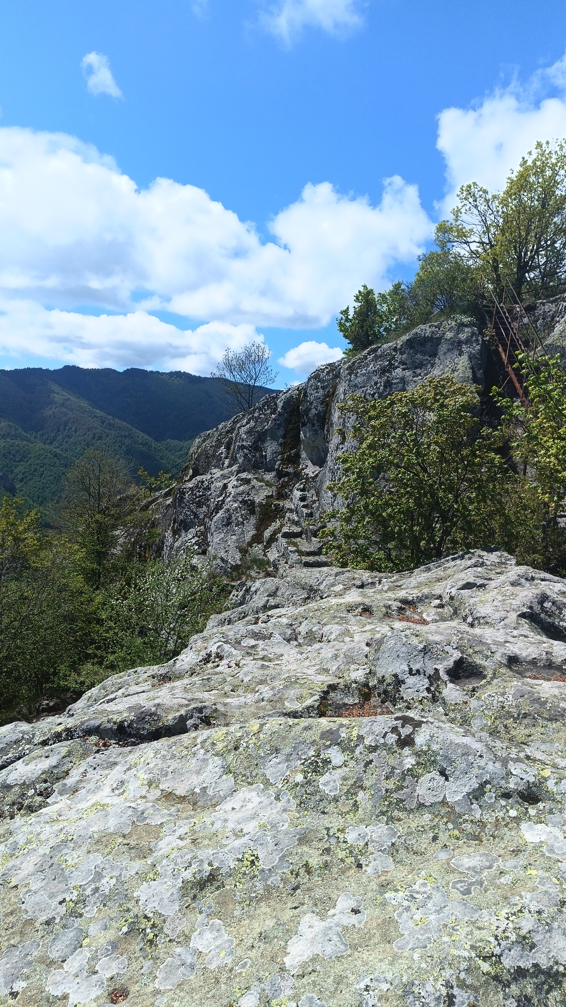 The image depicts a rocky landscape in Sini Vrah, Bulgaria, under a blue sky with scattered white clouds. The foreground features lichen-covered rocks. Rising behind are more rugged gray rocks and sparse vegetation including trees and shrubs. In the background are forested mountains. A rusted metal staircase can be seen on the right side of the cliff.
