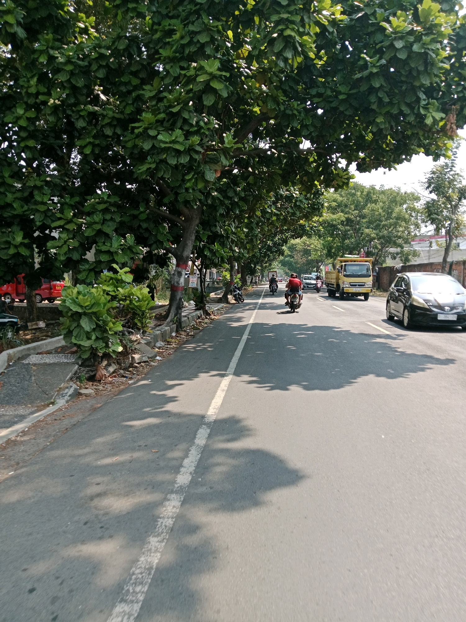 The image depicts a street scene in Muka, Indonesia, on a sunny day. A road with a white dividing line runs through the center of the frame, bordered by trees and vegetation on the left. Several vehicles are visible on the road, including a yellow truck, a black car, and multiple motorcycles. On one of the motorcycles, a person wearing a red shirt and a helmet is riding. The trees on the left are large and leafy, casting shadows on the road. The ground on the side of the road is paved in some areas and covered with debris and vegetation in others. Buildings and more trees can be seen in the background. The overall impression is of a busy street on a clear day.