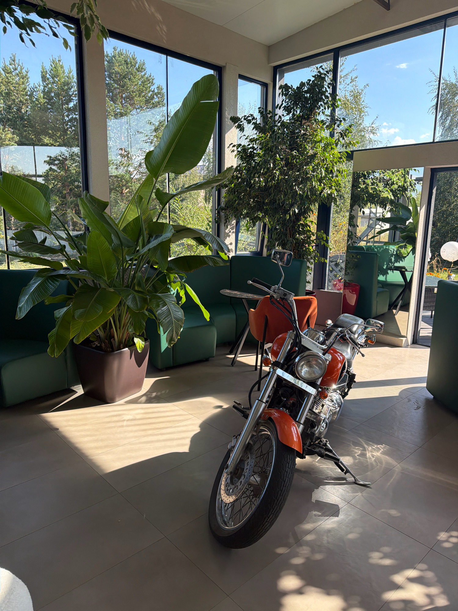 A motorcycle is parked indoors, in what appears to be a sunlit seating area. The motorcycle is orange and silver, with chrome accents. It is facing towards the right of the frame, with its front wheel closer to the viewer. The motorcycle is positioned on a tiled floor, with sunlight casting patterns of light and shadow across the floor from the windows.
Behind the motorcycle, there are several large potted plants with broad green leaves, creating a lush, indoor garden feel. Further back, there are green upholstered booths and chairs, suggesting a cafe or restaurant setting. Large windows line the walls, revealing a view of trees and a clear blue sky. The scene is brightly lit by natural light. This location is identified as being in Malaya Tsarevschina, Russia. There are no people visible in the image.
