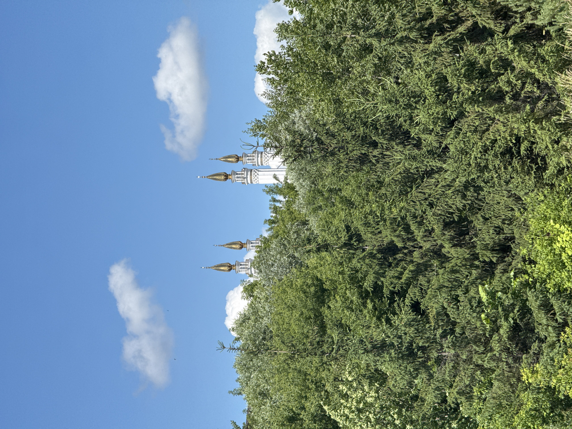 A low-angle medium shot captures a verdant forest in the foreground, with the tops of two white, slender towers, each crowned with golden spires, visible above the dense foliage in the background. The towers are intricately detailed with decorative elements. Above the towers, a bright blue sky is dotted with a few fluffy white clouds. The lighting suggests a sunny day. The scene is devoid of people, actions, or interactions.