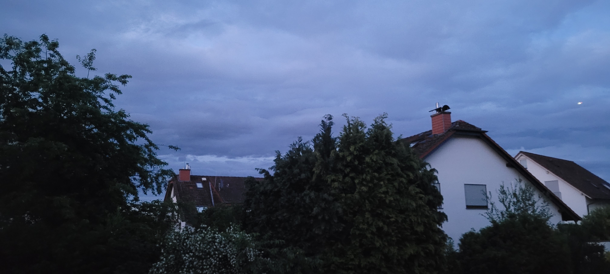 The image depicts a residential scene at dusk or twilight under a heavily clouded sky in Heusenstamm, Germany.
The sky is characterized by a dense, layered formation of clouds, exhibiting shades of deep blue, violet, and muted grey, indicative of low light conditions. In the upper right quadrant of the sky, a singular, bright white point of light is discernible, possibly an aircraft light, a planet, or the moon.
The lower two-thirds of the frame are dominated by dense, dark green foliage from multiple trees and bushes. A large, deciduous tree with visible branches and leaves occupies the left side, its canopy silhouetted against the sky. Towards the center and right, a cluster of evergreen trees, possibly conifers, exhibits a darker, more uniform green. Near the bottom center, some lighter-colored foliage, possibly flowering bushes, is visible.
Partially obscured by the vegetation are at least three residential houses, typical of suburban architecture. The most prominent house, situated on the right side of the frame, features a white stucco facade and a steeply pitched roof covered with reddish-brown tiles. A rectangular window with horizontal blinds is visible on its gable end. A prominent brick chimney, with an orange-red hue, a metallic cap, and a dark, possibly decorative, finial or weather vane, is positioned on the left side of this house's roofline.
To the left of the prominent white house, a second house reveals only its dark-tiled roof with a visible chimney (also brick with a metallic cap) and at least one skylight. A third, white-walled house with a dark roof and a dormer window is partially visible behind and to the right of the main white house.
No human figures or explicit actions are present within the frame. The scene conveys a quiet, late evening atmosphere in a populated, vegetated area.