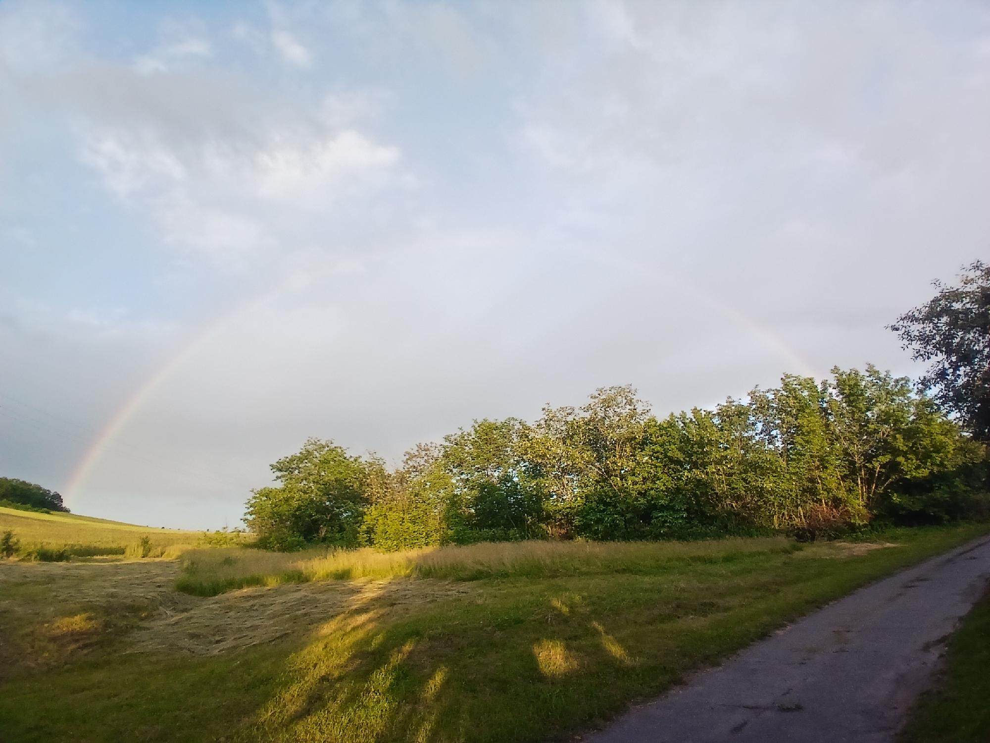 The image captures a rural landscape in Selyshche, Ukraine, under a cloudy sky where a faint rainbow arcs across the horizon. A paved road runs diagonally from the bottom right towards the center of the image, bordered by green grass. Beyond the road, a field of dry, mowed grass extends to the left, leading up a gentle slope. A line of lush green trees forms a dense border along the middle ground, separating the field from the sky. The overall scene depicts a tranquil, post-rain environment in a natural setting.