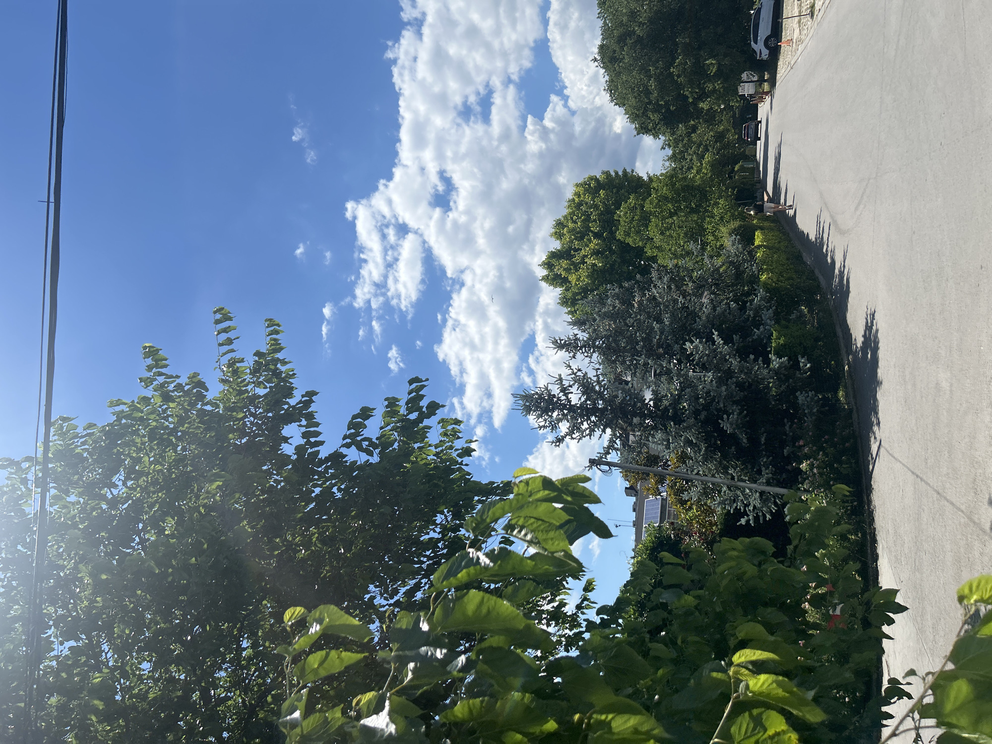 The image depicts a sunny day on a paved road in Varna, Bulgaria. Lush green trees line both sides of the road, with one large tree in the foreground casting shadows. In the background, several cars are parked and driving along the road. The sky is a vibrant blue with scattered white clouds. On the left side of the road, some houses are visible, one with solar panels on its roof. A lone woman is walking away from the camera on the right side of the road. The overall scene suggests a quiet, residential area during the daytime.