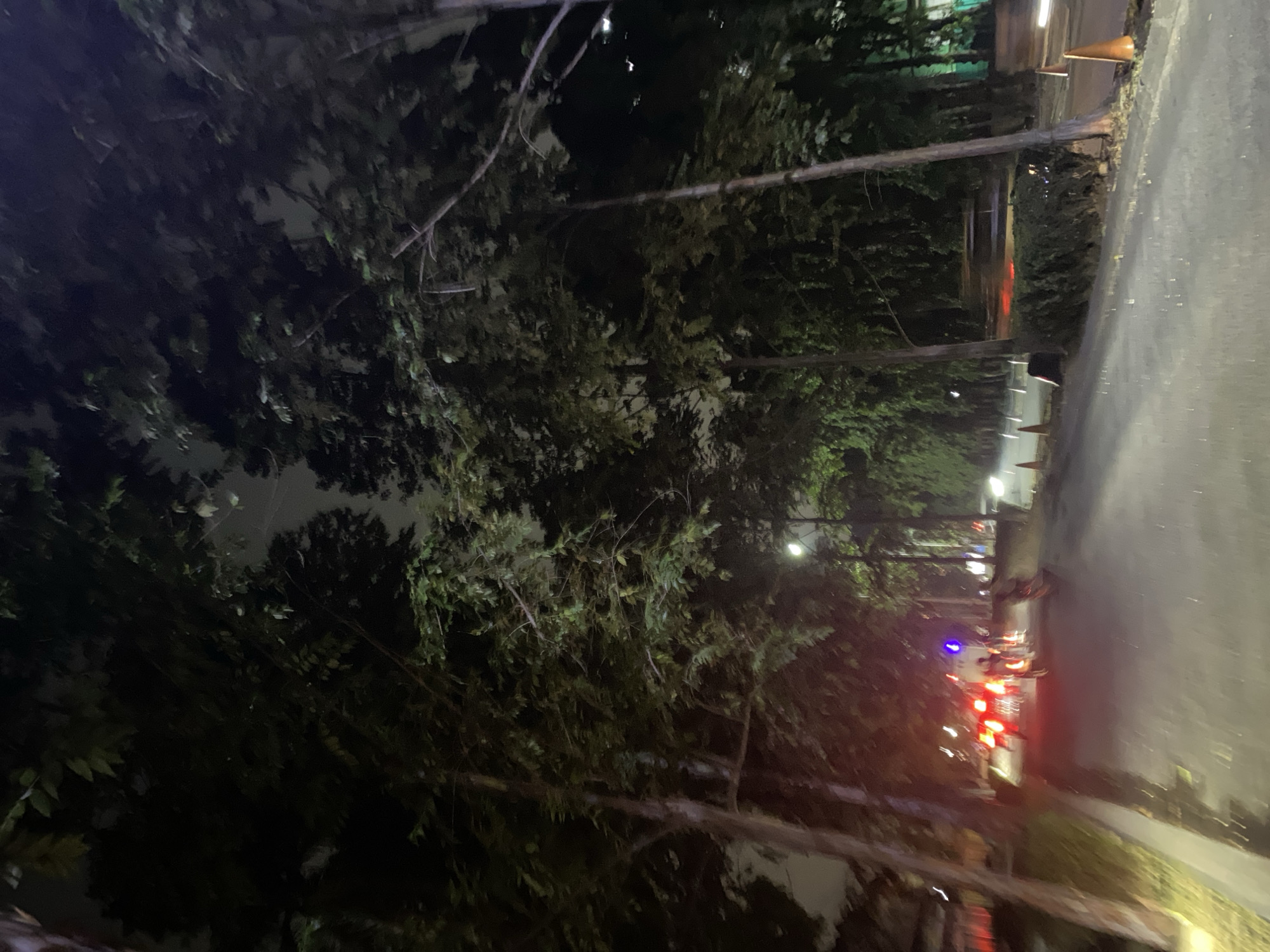 The image depicts a street scene at night in Tangerang, Indonesia, bordered by tall trees with dense foliage that create a tunnel-like effect. The road appears wet, reflecting the lights. In the distance, a line of vehicles, including motorcycles, are visible with their red brake lights illuminated, indicating they are stopped or moving slowly. Some traffic cones are present along the side of the road. The sky is dark, suggesting it is nighttime, with faint illumination from streetlights and vehicle lights. The overall atmosphere is dark and somewhat moody, with motion blur indicating a moving camera.