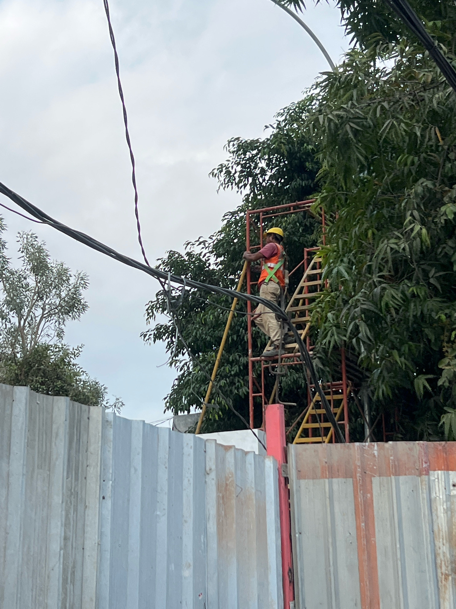 A construction worker wearing a hard hat and a high-visibility vest stands on a metal scaffolding next to a large tree. The scaffolding is orange and yellow, and the worker is holding onto a yellow support pole. The worker is wearing beige pants and a red shirt. Overhead, several thick black electrical wires are visible against a cloudy sky. In the foreground, a corrugated metal fence, partially painted with orange and red streaks, runs horizontally across the image. To the left of the fence, another corrugated metal structure is visible. The overall scene suggests an outdoor construction or utility work site, possibly in an urban or suburban environment, given the presence of electrical wires and the construction fencing. The image does not contain any specific visual cues that would pinpoint the location to Yogyakarta, Indonesia.