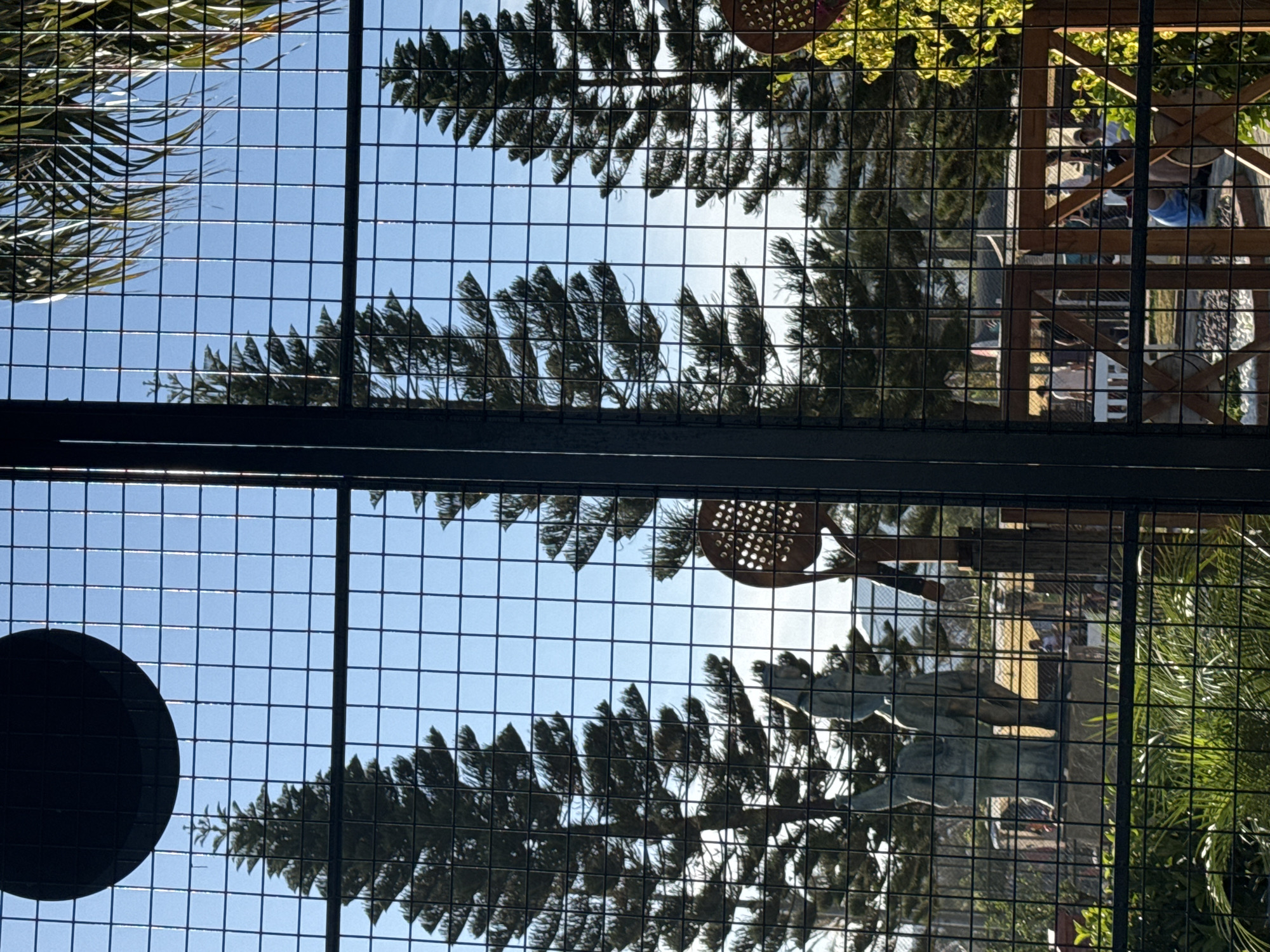 The image, taken through a wire fence, shows a partial view of a location in Alanya, Turkey. The sky is blue, and the tops of pine trees are visible. A dark circle is visible on the left side of the image. A wooden structure is on the right, with people seated inside. Statues and tennis rackets are also seen through the fence.
