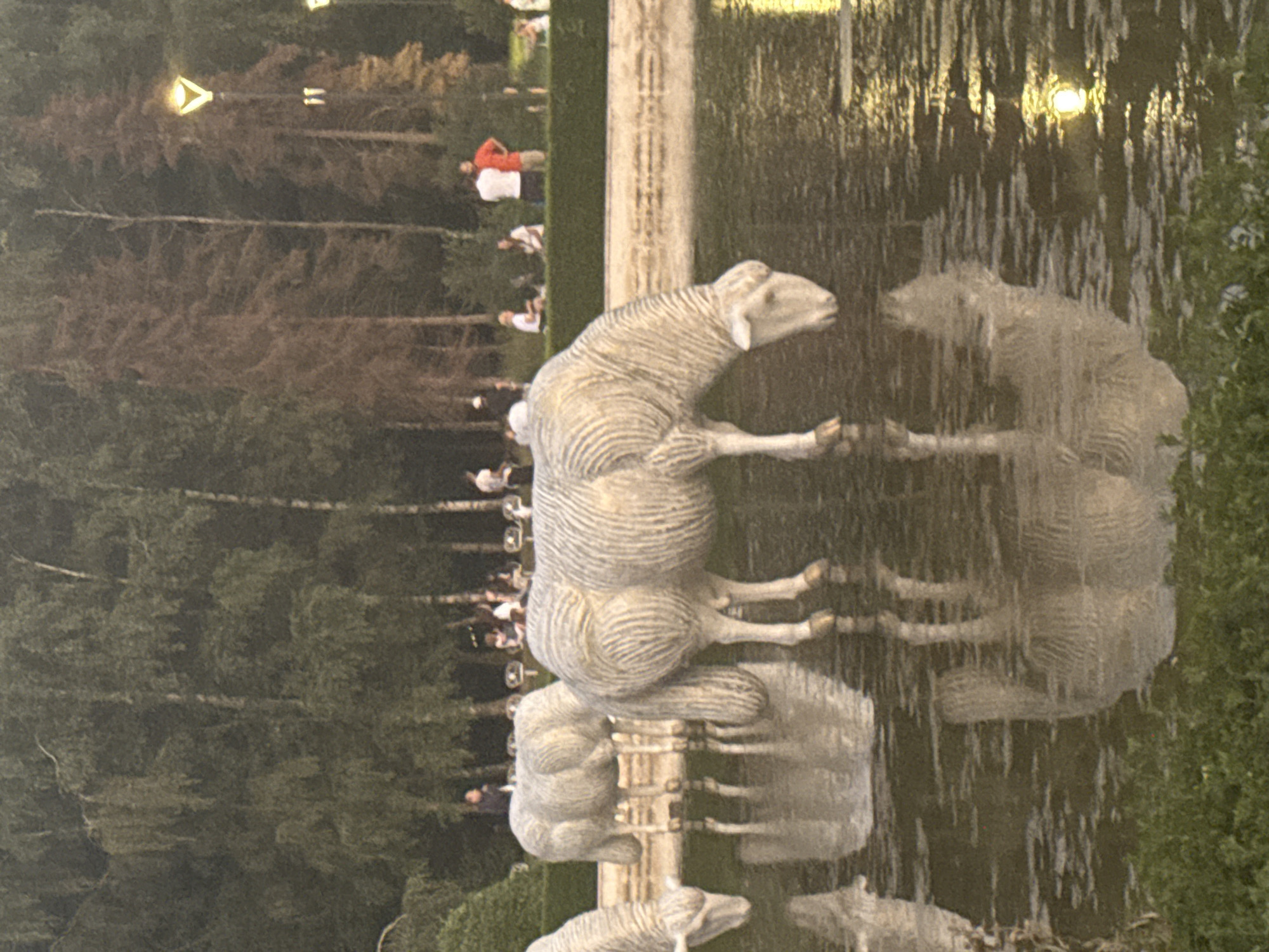 This image depicts a serene outdoor scene featuring several sculptures of sheep standing in shallow water, likely a decorative pond or fountain. The sculptures are white and detailed, designed to resemble sheep with textured wool. One sculpture in the foreground is shown with its head lowered, appearing to drink from the water. The water reflects the sheep sculptures and the surrounding environment. In the background, trees form a dense backdrop, with some bare, reddish-brown trees standing out. A low, manicured hedge runs horizontally across the mid-ground, behind which several people are visible. The people are standing or sitting, appearing to be visitors or park-goers. Streetlights with a distinctive yellow glow are present among the trees, suggesting the image was taken during twilight or evening. The overall atmosphere is peaceful and suggests a public park or garden setting. The image is identified as being taken in the city of Sofia, Bulgaria.
