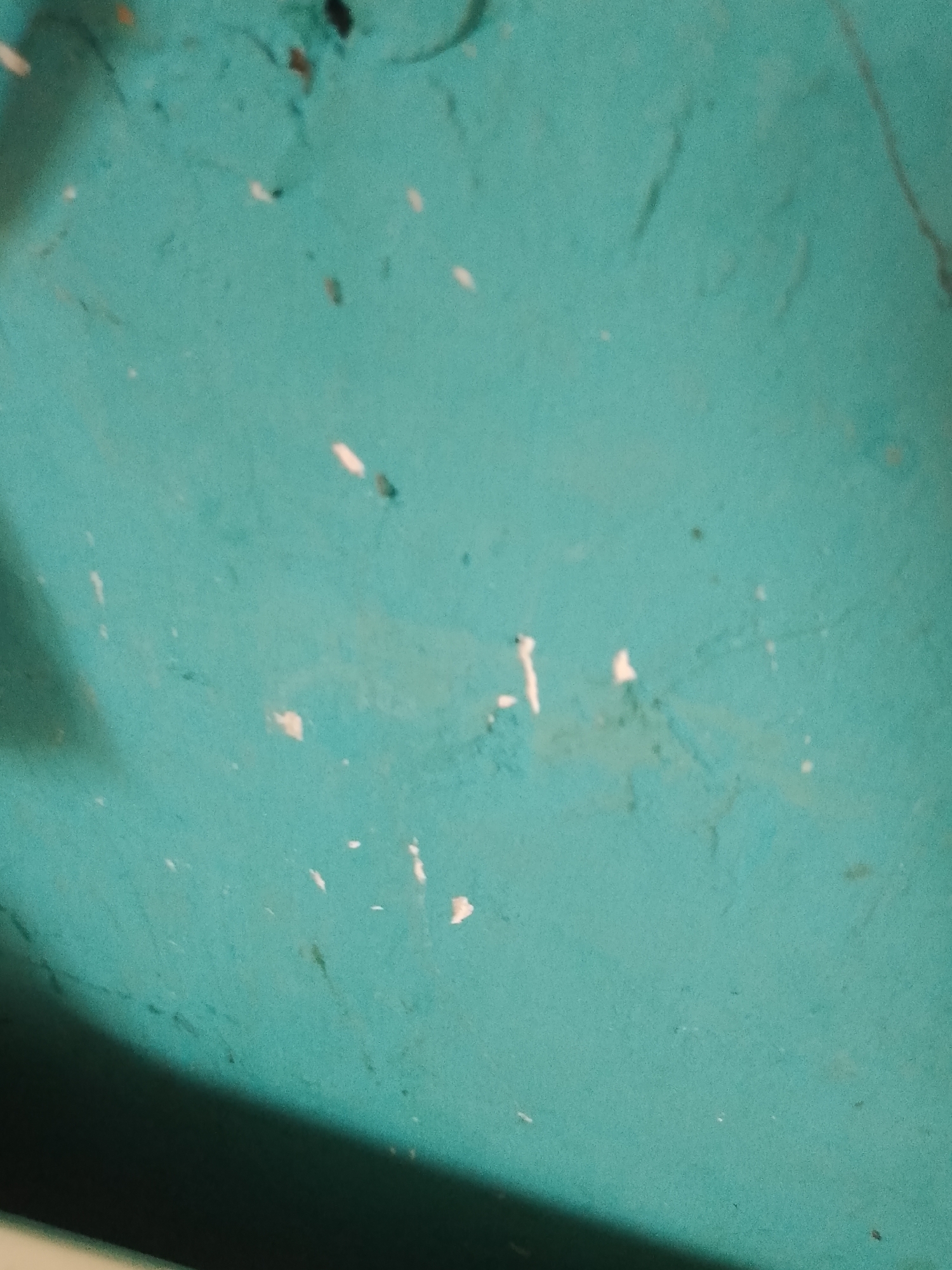The image depicts a close-up, abstract view of a textured, teal-colored surface, possibly a wall or a piece of fabric. Scattered across the surface are numerous small, irregular white and dark specks, as well as some faint, lighter streaks and smudges. A dark shadow is present in the lower left portion of the frame, obscuring part of the surface. The lighting appears somewhat diffused, with subtle variations in tone across the teal background. The image does not contain any identifiable landmarks or elements that would allow for its specific location to be determined within Santa Ana, Venezuela.