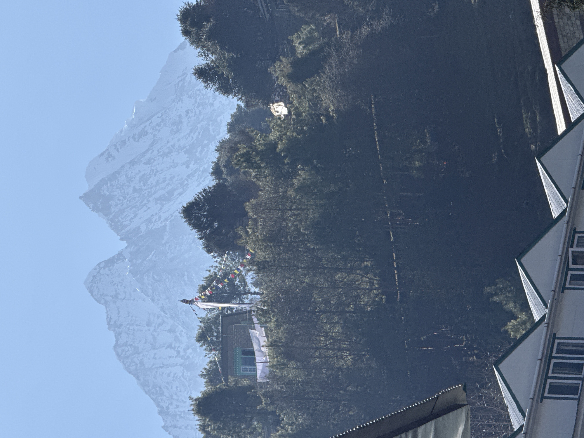 The image shows a mountainous landscape, possibly in Namche, Nepal, with a prominent snow-covered mountain in the background under a clear blue sky. In the foreground, there's a cluster of evergreen trees and a building with a blue-framed window and Tibetan prayer flags strung around it. Parts of adjacent buildings are visible on the right, featuring white walls and triangular roof designs. The overall environment suggests a remote, high-altitude settlement.