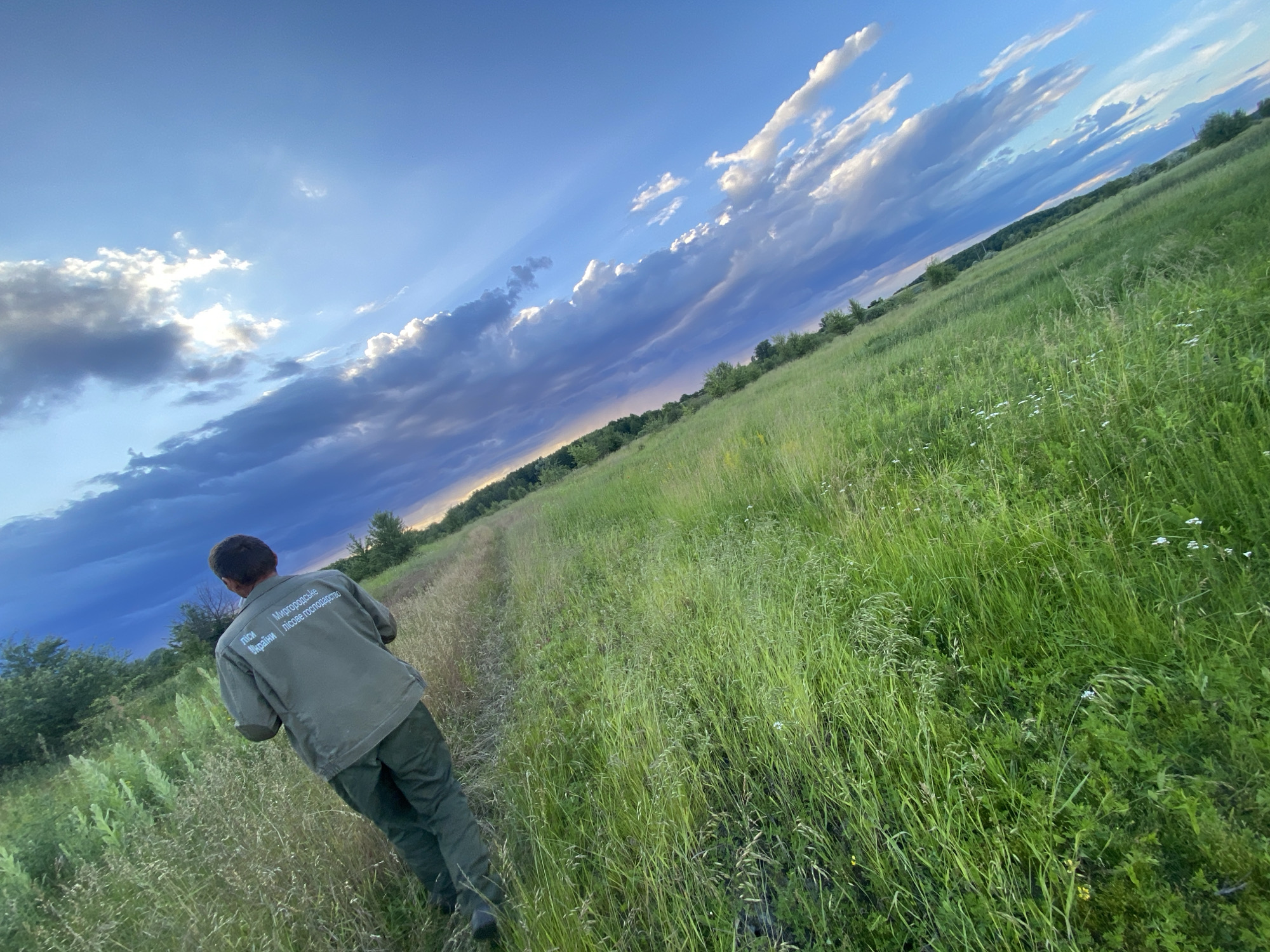 In the city of Ustyvytsya, Ukraine, a person wearing a green jacket with Cyrillic text and green pants walks away from the camera, heading down a path through a grassy field. The jacket has writing on the back. The field is lush with green grass and some wildflowers. The sky above is a deep blue with dramatic clouds, some of which are illuminated by the setting sun, casting rays of light across the sky. The horizon is lined with trees. The overall scene depicts an outdoor, natural environment, possibly during late afternoon or early evening.