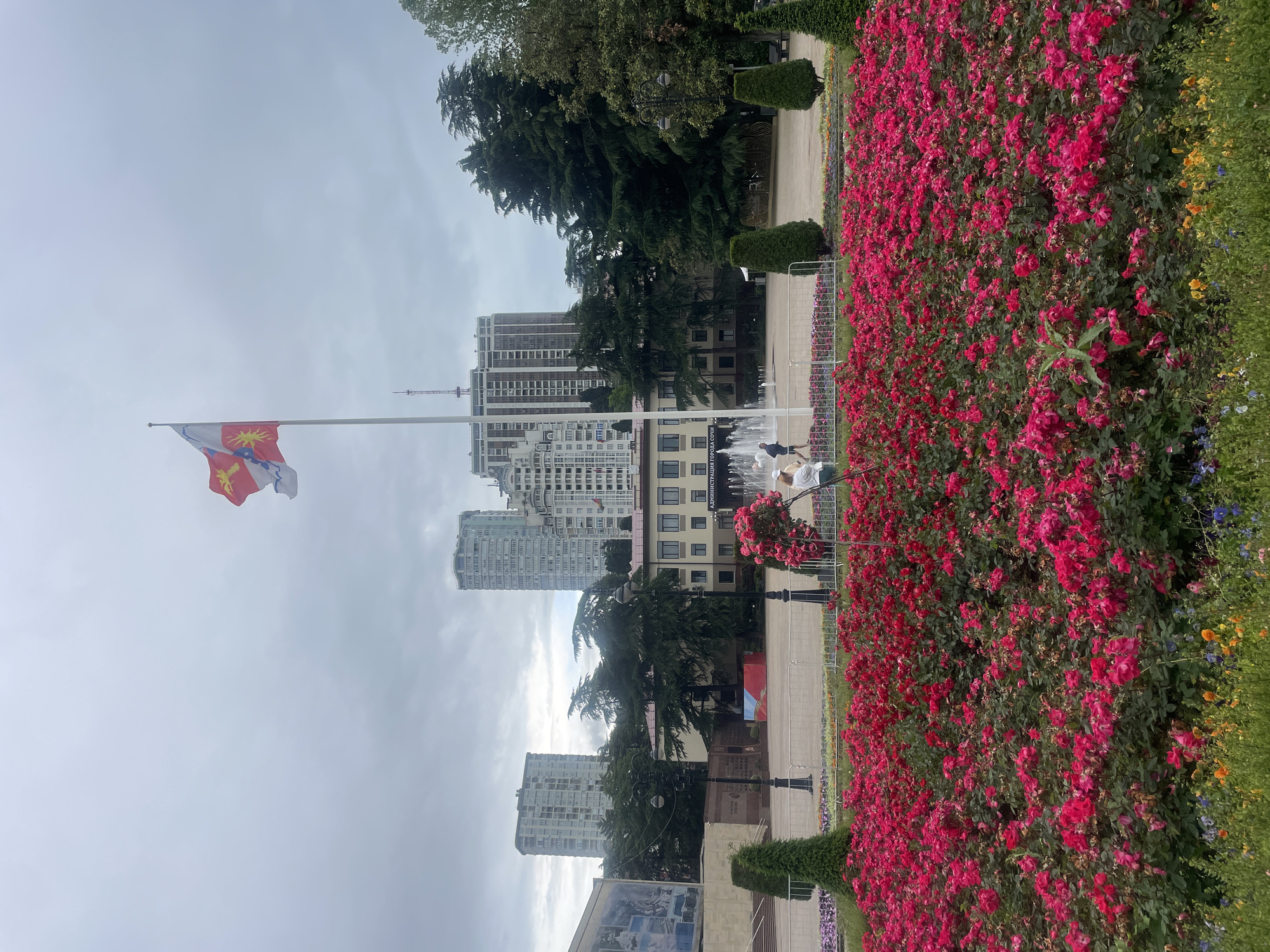 The image captures a cityscape of Sochi, Russia, under an overcast sky. Tall, modern apartment buildings dominate the background. In the foreground, a flag with a red emblem waves on a tall pole. A park area is filled with meticulously arranged flower beds, predominantly vibrant red roses, extending along the right side of the frame. A paved walkway and fountain feature are situated near the flower beds, with a few individuals visible in the vicinity of the fountain. Trees are interspersed, adding greenery to the urban landscape. A monument or plaque with images is present on the lower left.