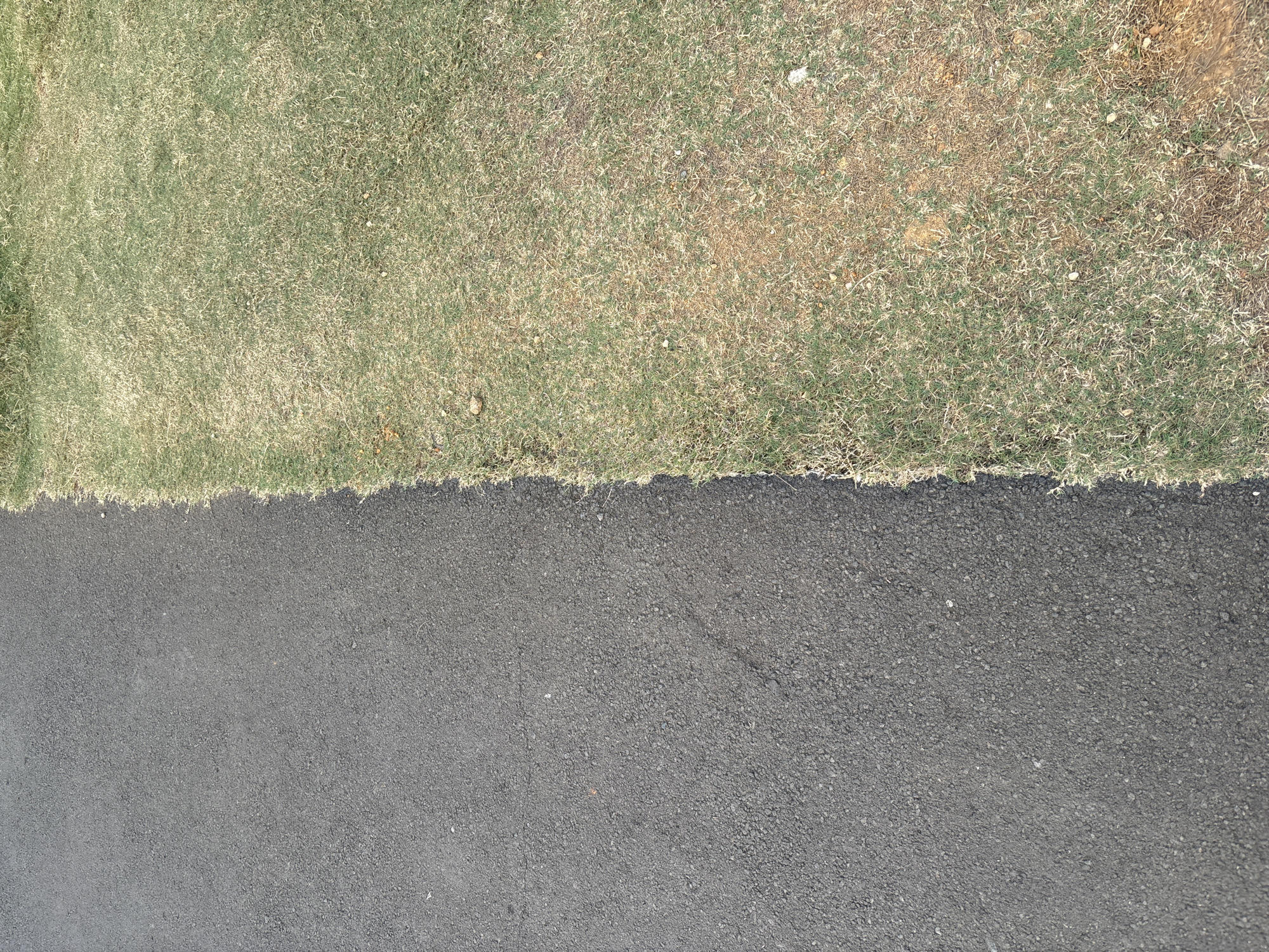 The image shows a view from above of a clear boundary between a dark asphalt surface and a patch of dry grass. The asphalt is textured and appears to be a road or pathway, with a slight sheen suggesting it may be recently laid or slightly damp. The grass is mostly a light brown color with some green patches, indicating it is dry or parched. The transition between the two surfaces is sharp and well-defined, running diagonally across the frame from the top left to the bottom right. No people, animals, or other objects are visible in the scene. The environment appears to be outdoors, with no buildings or man-made structures clearly depicted. The lighting suggests daytime. This image could be a generic depiction of a roadside or park edge in Babakan Madang, Indonesia, or any location with similar landscape features.