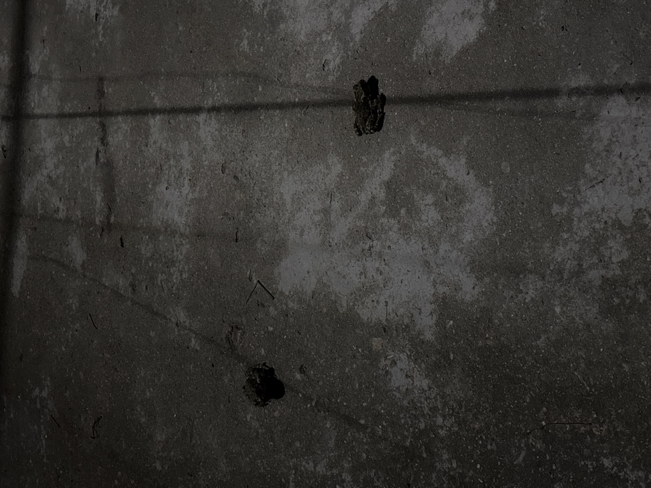 The scene depicts an outdoor ground surface in Disevitsa, Bulgaria, under low-light conditions, likely at night. The ground is a dark grey, uneven asphalt or concrete material with lighter grey areas indicating variations in texture or moisture. Scattered sparsely across the surface are small, dark fragments of organic debris. A prominent, elongated vertical shadow extends from the upper frame to the lower right, with additional fainter, angled shadows visible in the upper left. Two dark-colored amphibians, identified as frogs or toads, are present and appear stationary. One is located in the upper left quadrant of the frame, appearing as a compact, dark mass. The second is positioned in the middle-right quadrant, slightly to the left of the prominent vertical shadow, also appearing as a dark, squat form. No human subjects, actions, or direct interactions are observed.