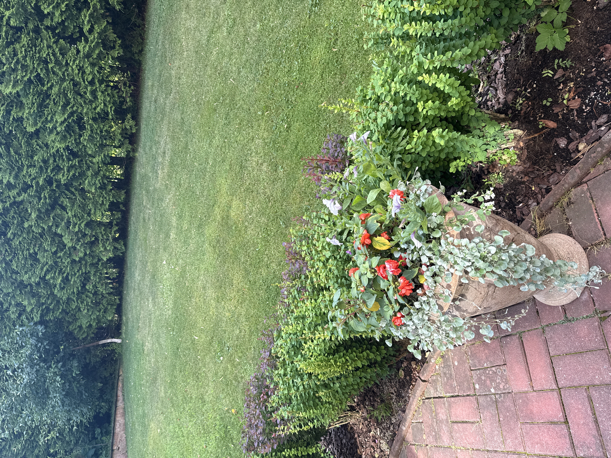 A courtyard in Yukki, Russia, features a well-maintained lawn bordered by lush green hedges and flower beds. In the foreground, a large, ornate stone planter overflows with vibrant red flowers and delicate silver-green trailing plants. The planter sits on a brick patio, leading the eye towards a vast expanse of manicured lawn stretching into the distance. A dense wall of evergreen trees forms a natural backdrop, creating a sense of privacy and tranquility. The overall impression is one of a beautifully designed and meticulously cared-for garden.