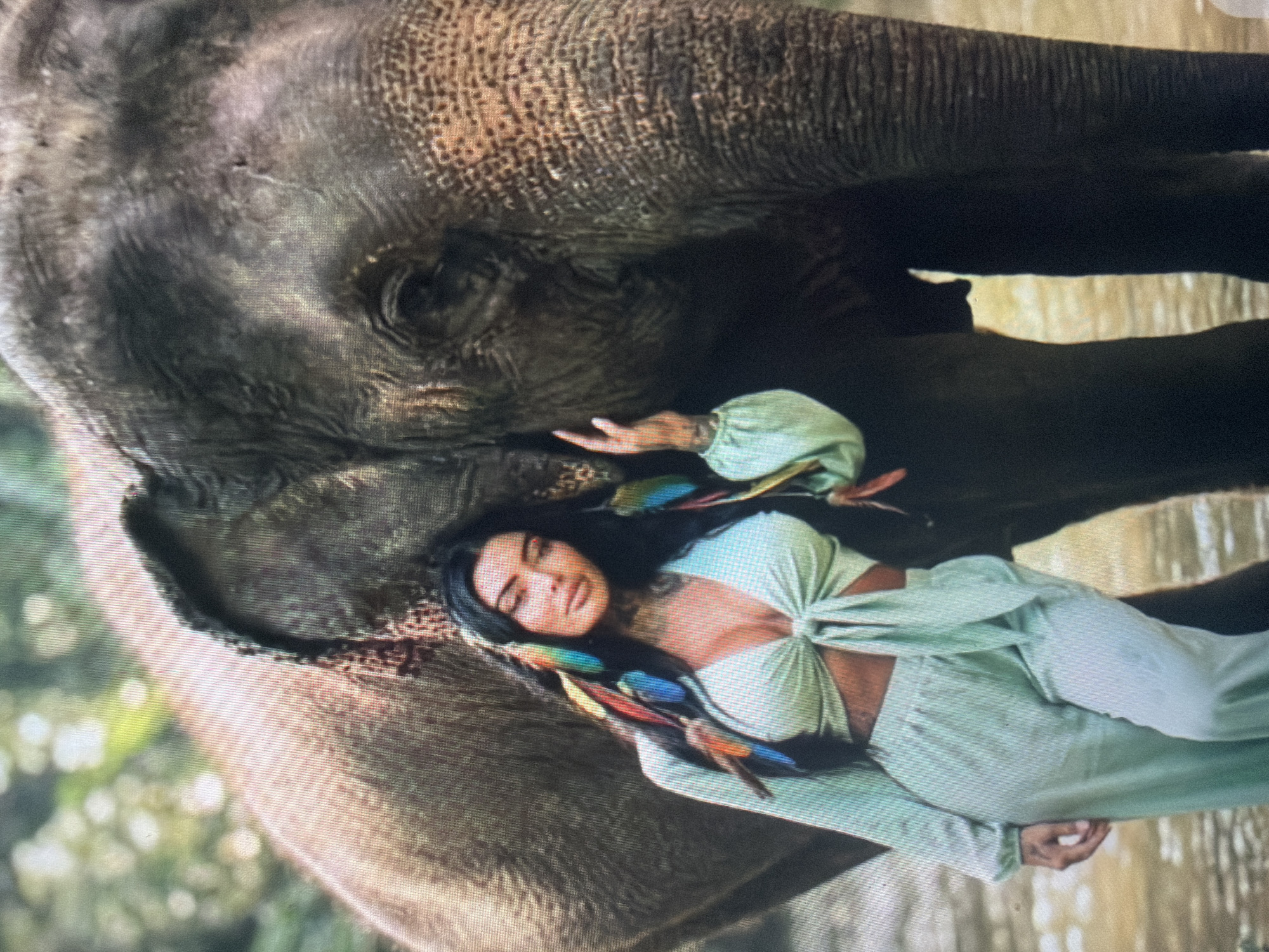 The image features a woman posing alongside a large elephant in a natural outdoor setting, with a body of water visible at the bottom. The woman, positioned on the left, has dark hair decorated with multiple colorful feathers in shades of red, orange, blue, and green. Tattoos are visible on her neck, chest, and right arm. She is wearing a light mint green two-piece ensemble consisting of a long-sleeved crop top tied at the front and matching wide-leg trousers. Her right hand rests gently on the elephant's trunk or lower face. The elephant, occupying the right side and background of the frame, is grey with textured skin, and its eye, ear, and a portion of its trunk are clearly visible. Blurred green foliage constitutes the background, suggesting a dense natural environment. The scene is located in the city of Shumen, Bulgaria.