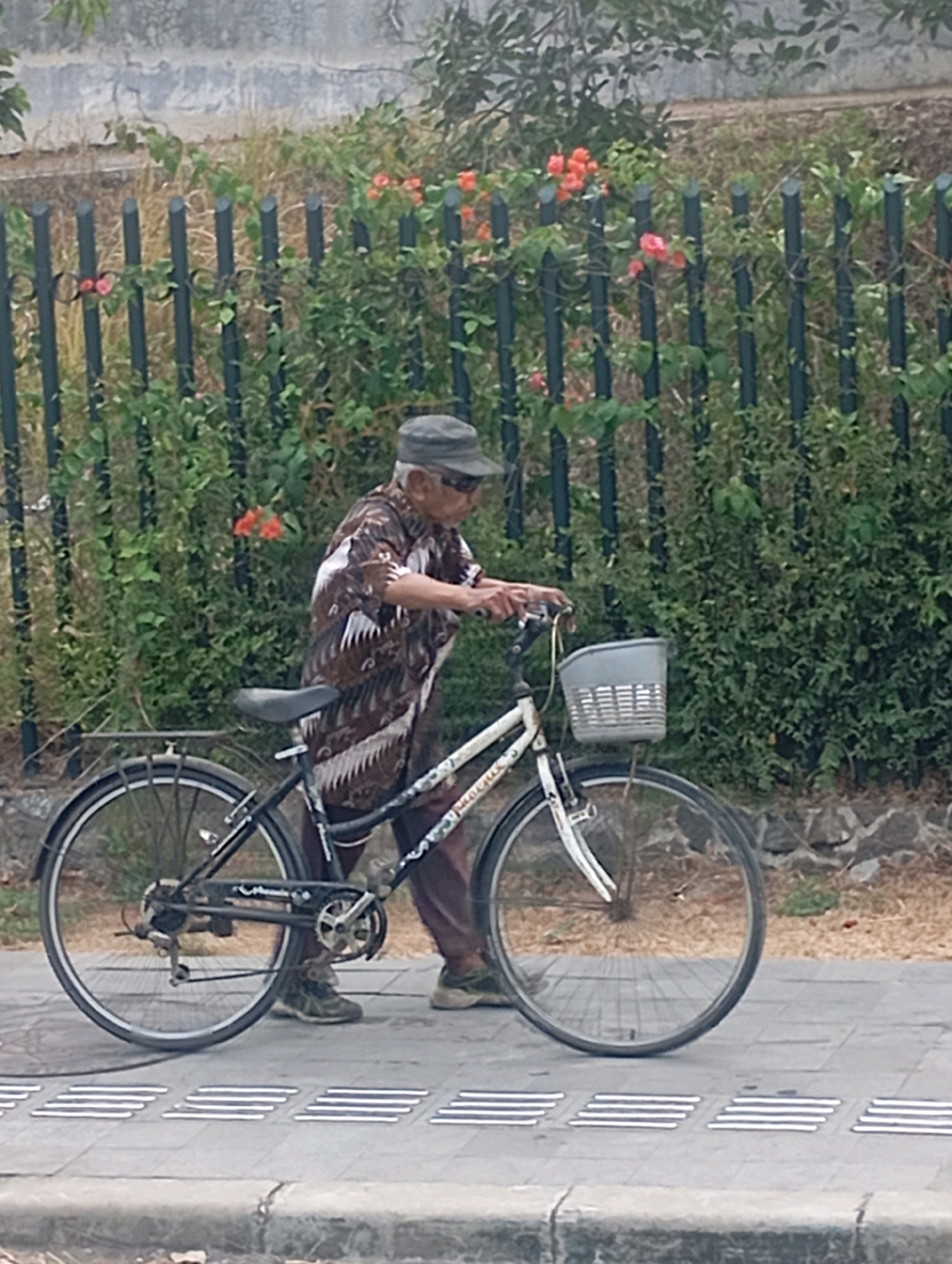 An elderly Asian man wearing a patterned shirt, sunglasses, and a cap pushes a bicycle with a basket on the front. The bicycle has a black frame and a gray basket. He is walking on a paved sidewalk that has tactile paving for the visually impaired. Behind him is a dark green metal fence with foliage growing through it, and some orange flowers are visible. The environment appears to be outdoors, possibly in an urban or park setting. The overall scene suggests a daily activity or commute in a city.