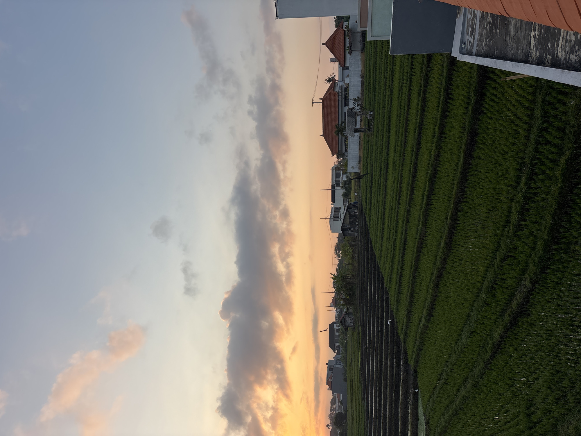 The image depicts a view of terraced rice fields in North Kuta, Indonesia, during a sunset. The sky is a gradient of soft blues and oranges, with scattered clouds illuminated by the setting sun. The rice paddies, lush and green, are organized in distinct horizontal layers, with some sections appearing to be flooded. Several small, simple structures, possibly sheds or agricultural outbuildings, are visible scattered amongst the fields and in the background. In the distance, a cluster of buildings, including houses with red-tiled roofs, are situated beyond the rice fields. The foreground features the edge of a building with a grey wall and a red-tiled roof, suggesting the photo was taken from a higher vantage point. A few birds, likely egrets or similar wading birds, are present in the fields, adding a touch of wildlife to the scene. The overall atmosphere is serene and rural, characteristic of the Indonesian countryside.