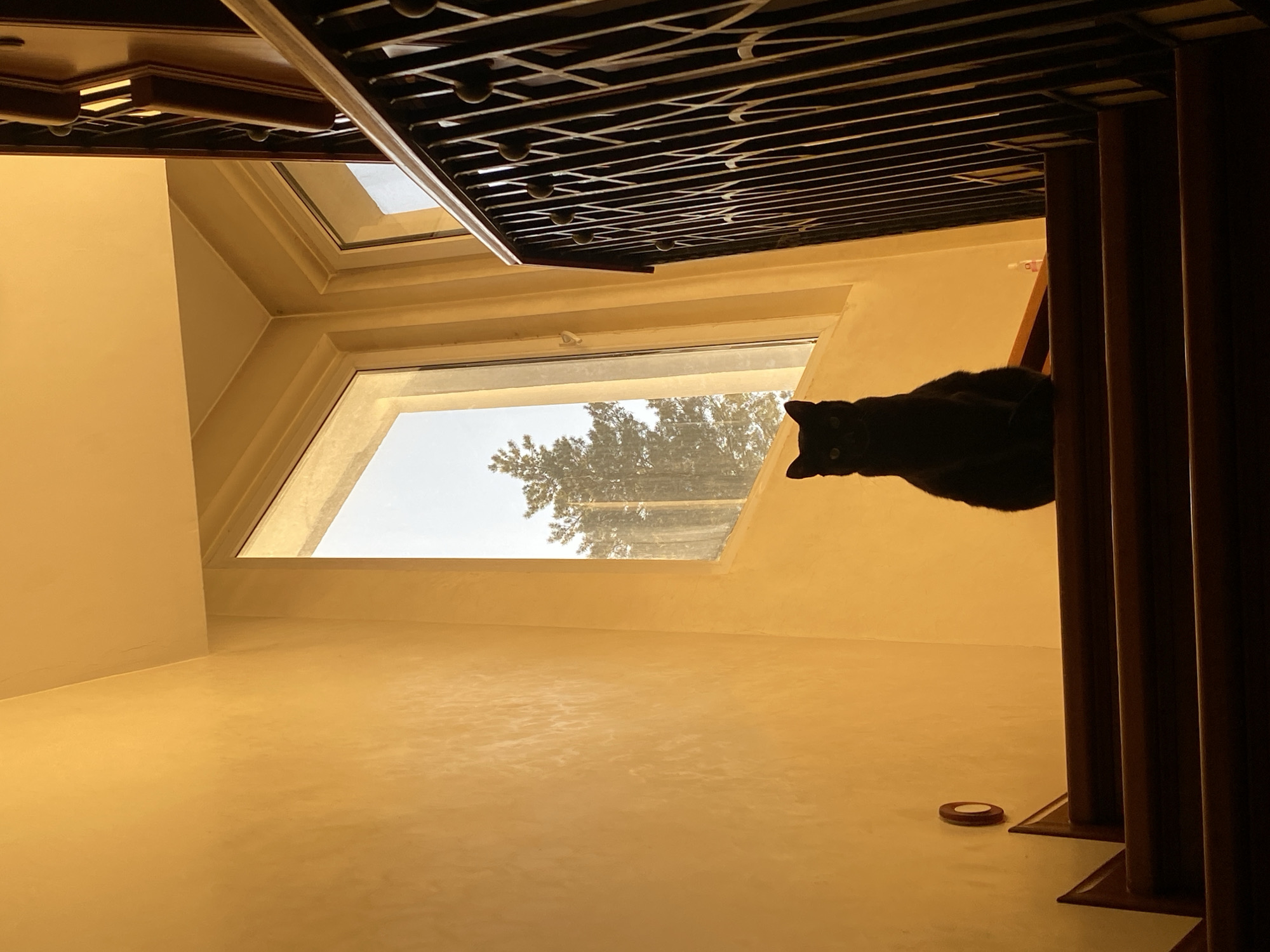 The image depicts an interior scene with a low-angle perspective, looking upwards. A black cat is perched on a ledge adjacent to a staircase or railing composed of dark wooden posts. The cat is silhouetted against a bright window in the background, which reveals trees outside. The walls and ceiling are painted a warm yellow color. Above the window, a section of the staircase or railing is visible, constructed with a decorative metal grid. The location is Unknown, Unknown.