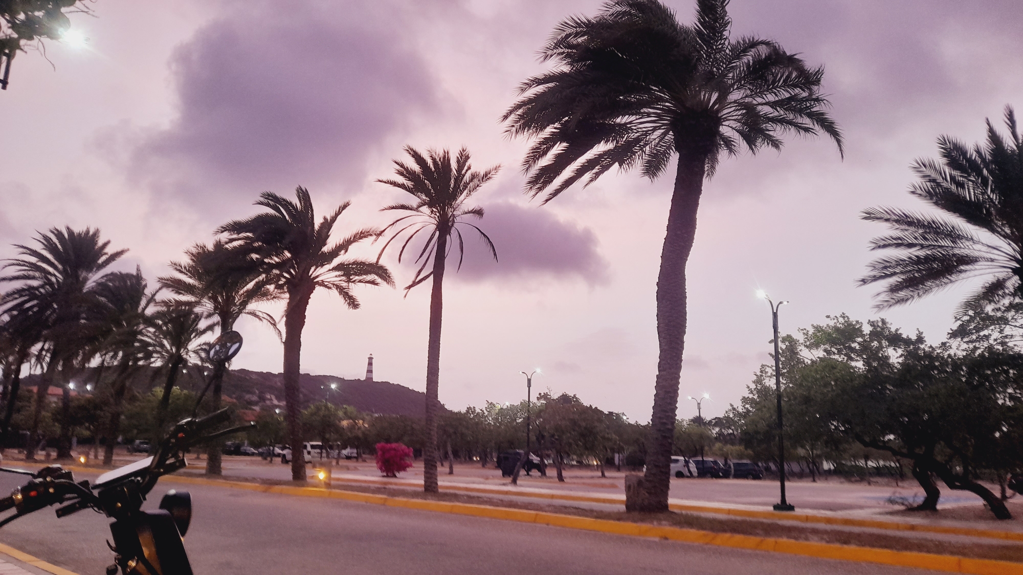 The image shows a row of palm trees along a street in the city of Pedro González, Venezuela. The sky is filled with purple and pink clouds, suggesting either dawn or dusk. A lighthouse is visible on a hill in the background. In the foreground, a black motorcycle is parked. The street is paved and has a yellow stripe along the side. There are also streetlights and some parked cars in the background. The overall scene conveys a tropical atmosphere.