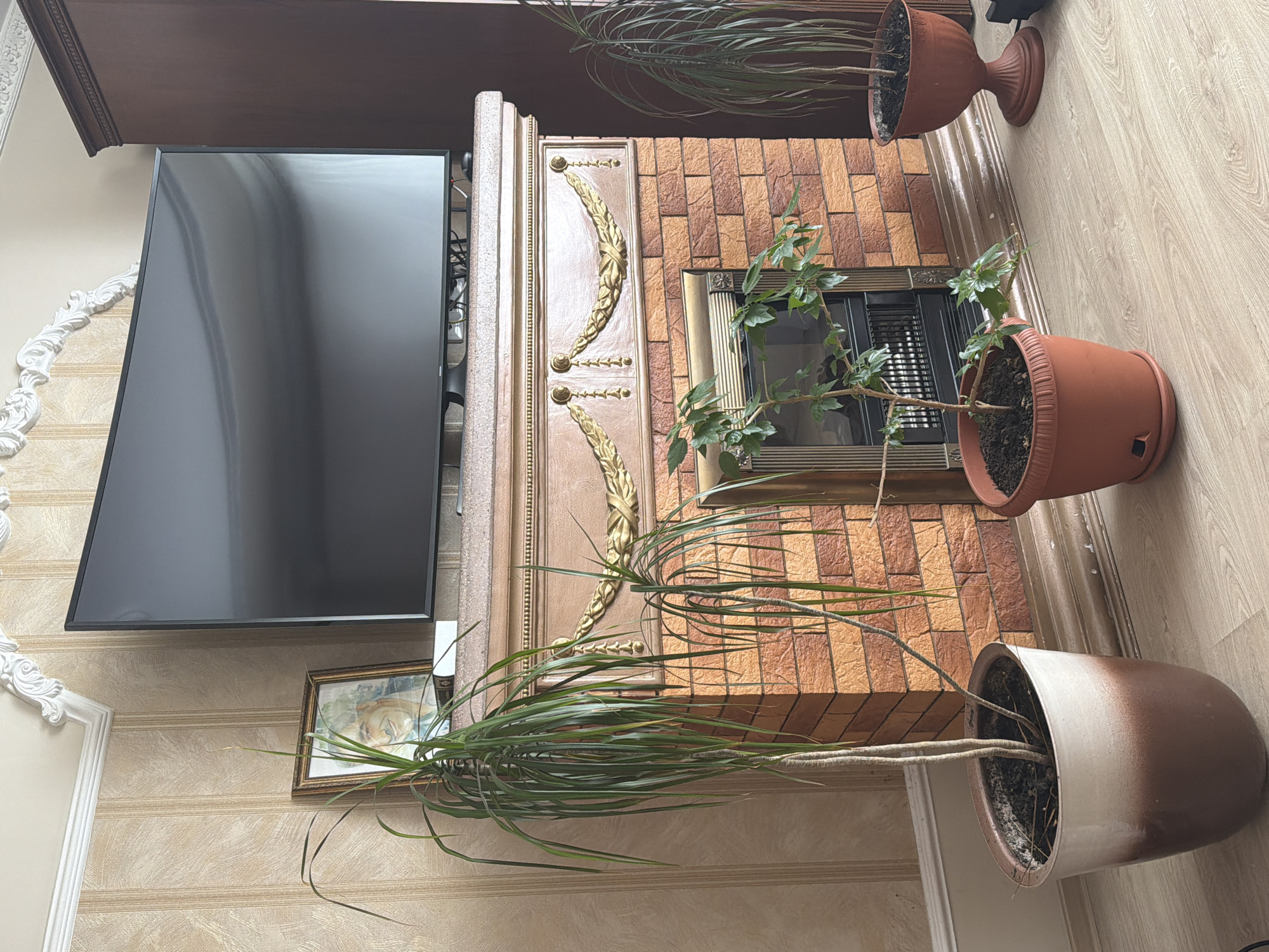 The scene is an interior shot of a living room. A television is mounted on the wall above a fireplace. The fireplace is brick and features ornate golden details. Three potted plants are in the scene. There is a small picture frame on the wall to the right of the television. The background consists of wallpaper with vertical patterns. The location is possibly in Krasnoyarsk, Russia.