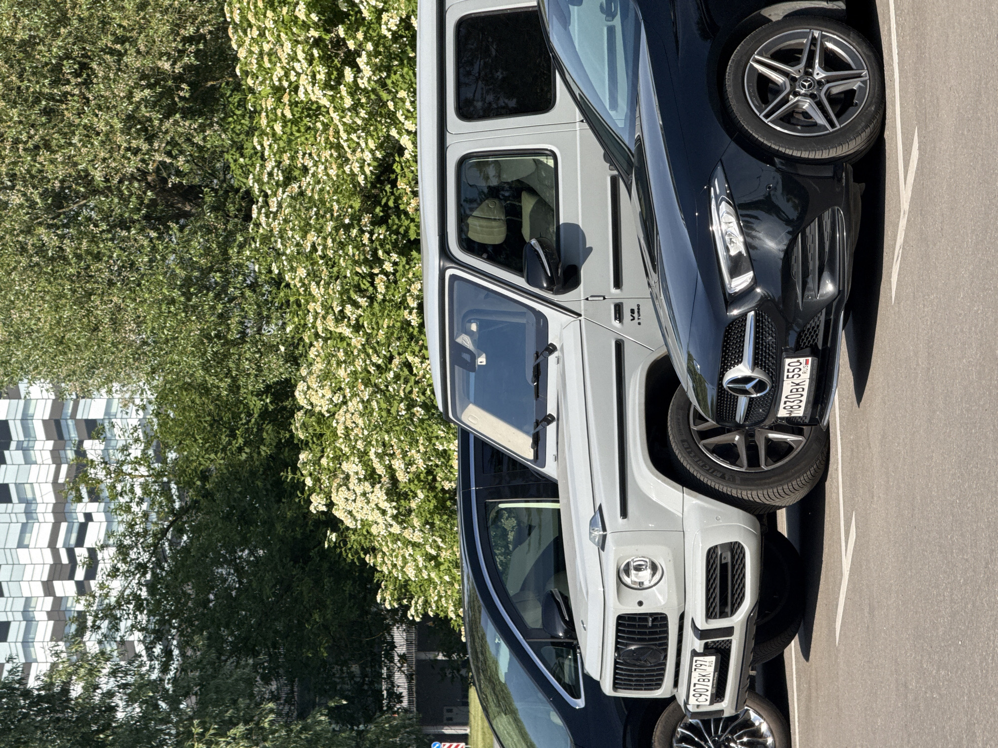 The image depicts three parked Mercedes-Benz vehicles in an asphalt parking lot, set against a backdrop of dense foliage and a modern building, under bright daylight. The location is the city of Moscow, Russia, indicated by the "797" region code on one of the license plates.
In the foreground, a black Mercedes-Benz A-Class sedan is partially visible on the right, displaying the license plate "M830BK 550 RUS". It is parked within a designated spot, marked by a white line on the asphalt.
Behind the A-Class, a light gray Mercedes-Benz AMG G 63 G-Wagen (G-Class SUV) is parked centrally. Its front bumper, grille, headlights, and part of the driver's side are visible. The license plate "c907BK 797 RUS" is affixed to the front. The vehicle features "V8 BITURBO" badging on its side. The interior of the G-Wagen, seen through the driver's side window, appears to have light-colored, possibly green or tan, upholstered seats.
Further back and to the left of the G-Wagen, a black Mercedes-Benz V-Class minivan or van is partially visible, showing its side profile and tinted windows.
The parking lot itself is paved with asphalt and has clearly painted white lines indicating parking spaces.
In the mid-ground, behind the vehicles, there is abundant green vegetation, including large trees with dense foliage and bushes covered in small white blossoms, suggesting a spring or early summer season.
In the background, a distinctive multi-story building with a patterned facade of black, white, and reflective panels rises above the trees, characteristic of modern urban architecture in Moscow. The sky is not visible. No individuals are present in the scene.
