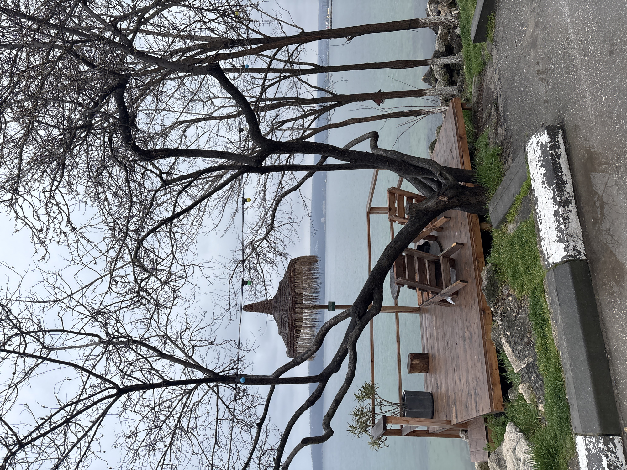 The image depicts a lakeside scene in Varna, Bulgaria. A wooden deck juts out over the water, furnished with wooden chairs, a small table, and a thatched umbrella. A potted plant sits near the edge of the deck. Bare trees frame the view, with branches extending across the foreground and the background showing the still, gray water of the lake and distant buildings. Adjacent to the deck, the scene transitions to a roadside with grass and a curb.