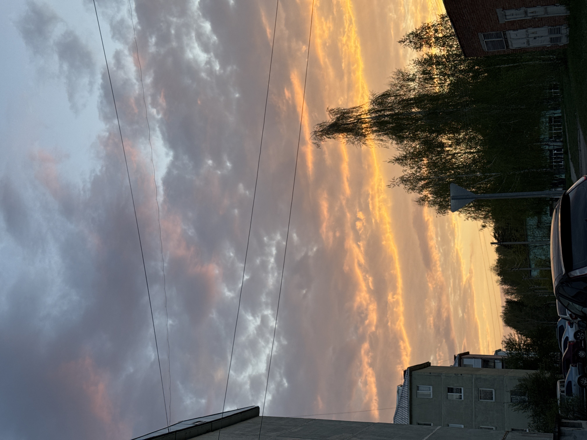 The image shows a sunset sky over Noviy, Russia, with power lines visible in the foreground. The left side of the sky has gray clouds with hints of pink. The right side is an orange and yellow sunset. Buildings are at the bottom, and trees and vehicles are visible on the right side of the image.