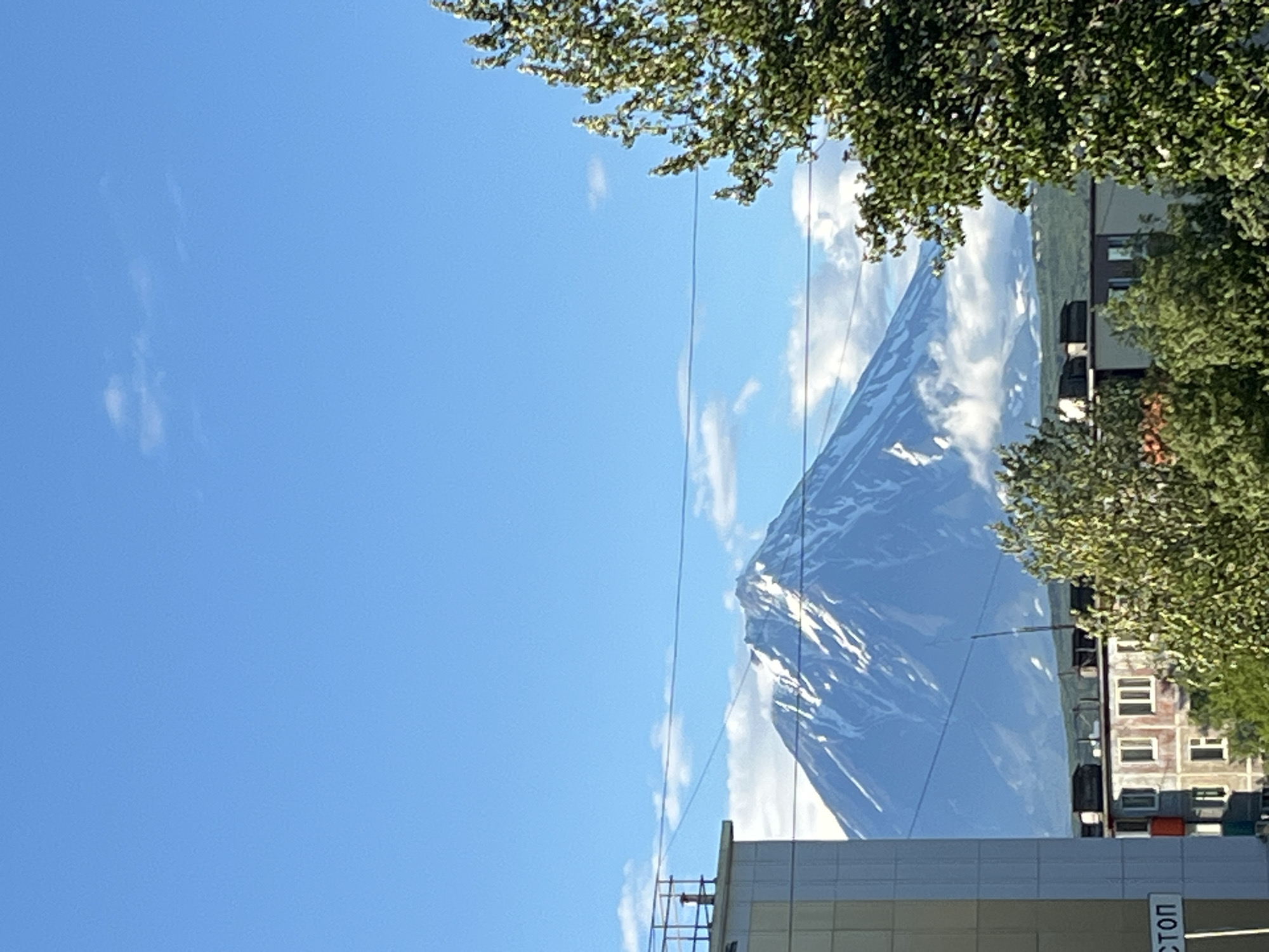 This is a medium-shot, eye-level, outdoor photograph taken on a sunny day in Petropavlovsk-Kamchatsky, Russia. In the foreground, on the left, is the side of a light-colored building with a vertical structure on its roof. To the right of that, partially obscuring the view, is a dense green tree. In the mid-ground, there is a low-rise apartment building with a weathered facade, several windows, and balconies. Behind the apartment building and trees, a majestic snow-capped volcano dominates the background under a clear blue sky dotted with a few white clouds. The volcano's slopes are streaked with snow and shadows, suggesting a rugged terrain. Power lines are visible in the mid-ground, stretching horizontally across the frame. The overall scene depicts an urban environment with a prominent natural landmark.