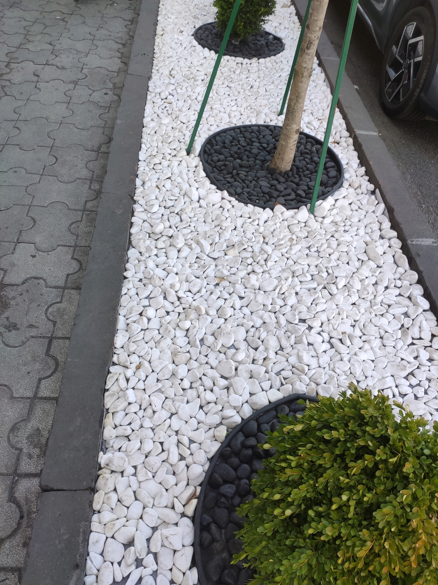 The image shows a decorative garden bed alongside a sidewalk in Yerevan, Armenia. The garden bed is filled with white river stones, with black decorative stones used to create circular borders around a young tree and a small bush. The tree is supported by three green metal stakes. To the left of the garden bed is a gray interlocking paver sidewalk with a dark gray concrete curb separating it from the garden. To the right, a dark gray car is parked, with its wheel visible at the edge of the frame. The scene appears to be an urban landscaping element.