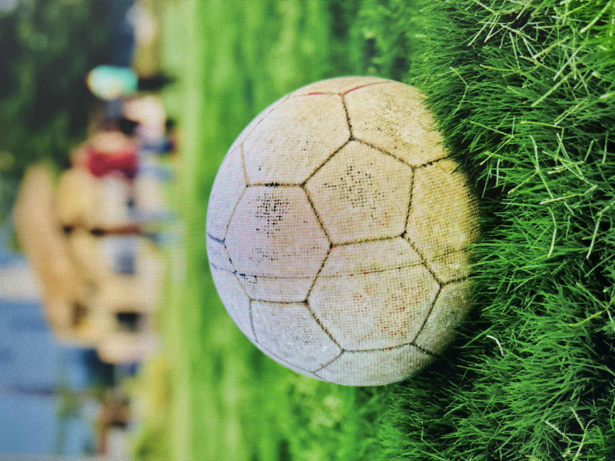 The image displays a worn soccer ball positioned horizontally across the mid-left of the frame, partially embedded in vibrant green grass that occupies the right half of the picture. The photograph is oriented vertically, with the grass appearing on the right side and a heavily blurred background on the left.
The soccer ball is white or light beige with prominent dark grey or black seams outlining its traditional pentagonal and hexagonal panels. It shows clear signs of extensive use, including scuffs, dirt marks, and some reddish stains, indicating it is an old, well-played item.
The grass is a rich, deep green, dense, and appears to be natural turf, possibly from a field or park in Varna, Bulgaria. Individual blades are visible, especially towards the right edge, giving a sense of texture. A shadow falls over the lower-right portion of the ball and into the grass, suggesting bright, natural lighting from above or the left.
The background, occupying the left side of the image, is completely out of focus, rendering any details indistinct. However, shapes and colors suggest the presence of several blurred human figures, possibly children or adults, with hints of clothing in red, blue, and lighter tones. These figures are engaged in an unseen activity, likely recreation or play, given the context of the soccer ball and grassy setting. The blurred background also shows patches of green, indicating more foliage or distant grass.
The overall scene suggests an outdoor recreational activity, most probably a soccer game or casual play, taking place during daylight hours under clear weather conditions. No discernible text is visible on any object in the image. The image also exhibits a pattern of fine horizontal lines or scanlines across its entire surface.