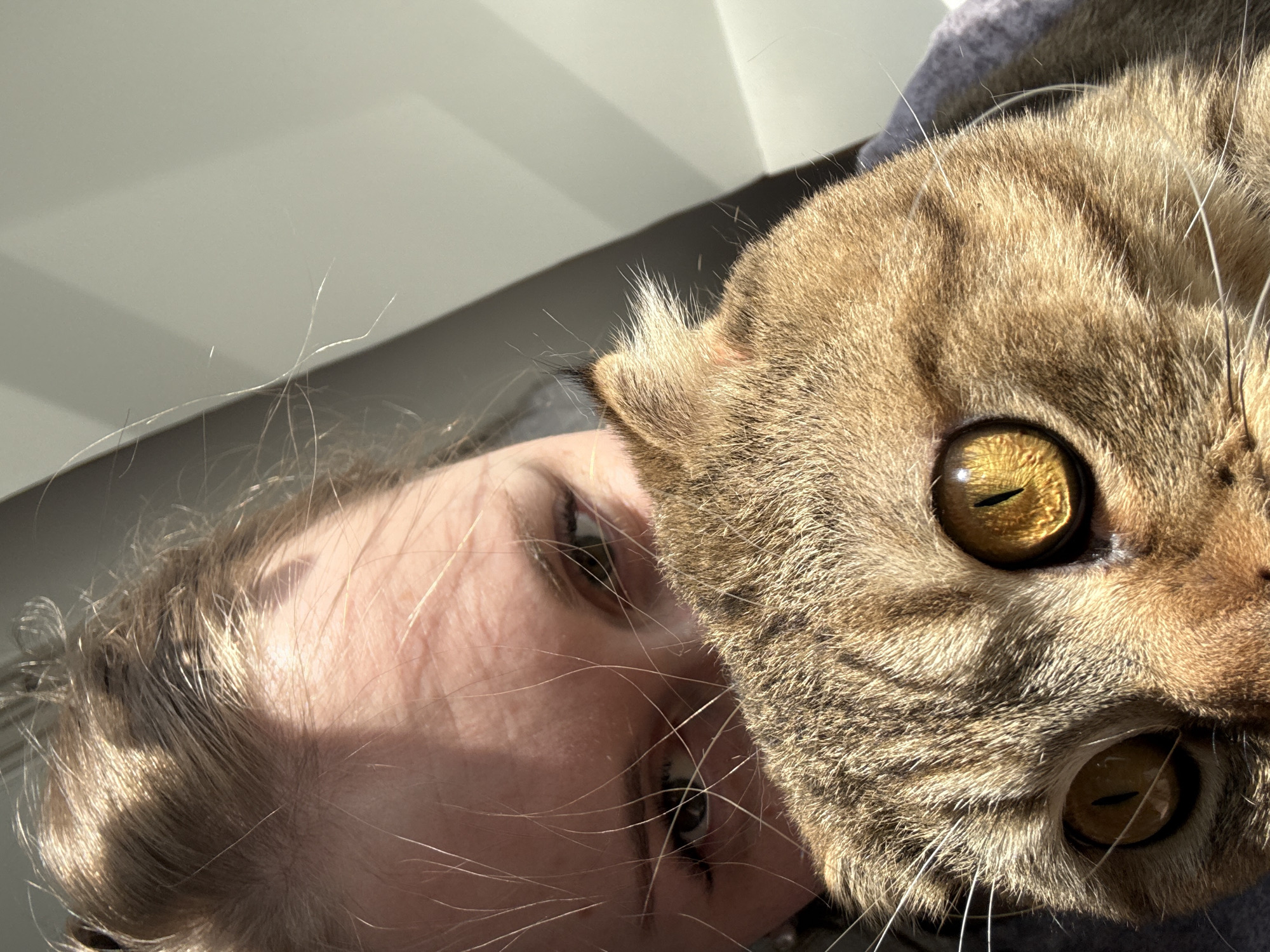 The image shows a close-up of a person and a cat. The person has light skin, blonde hair, and is looking towards the viewer. The cat is a tabby with golden eyes and is positioned very close to the person's face. The background is blurred and indistinct. The location is Unknown, Unknown.