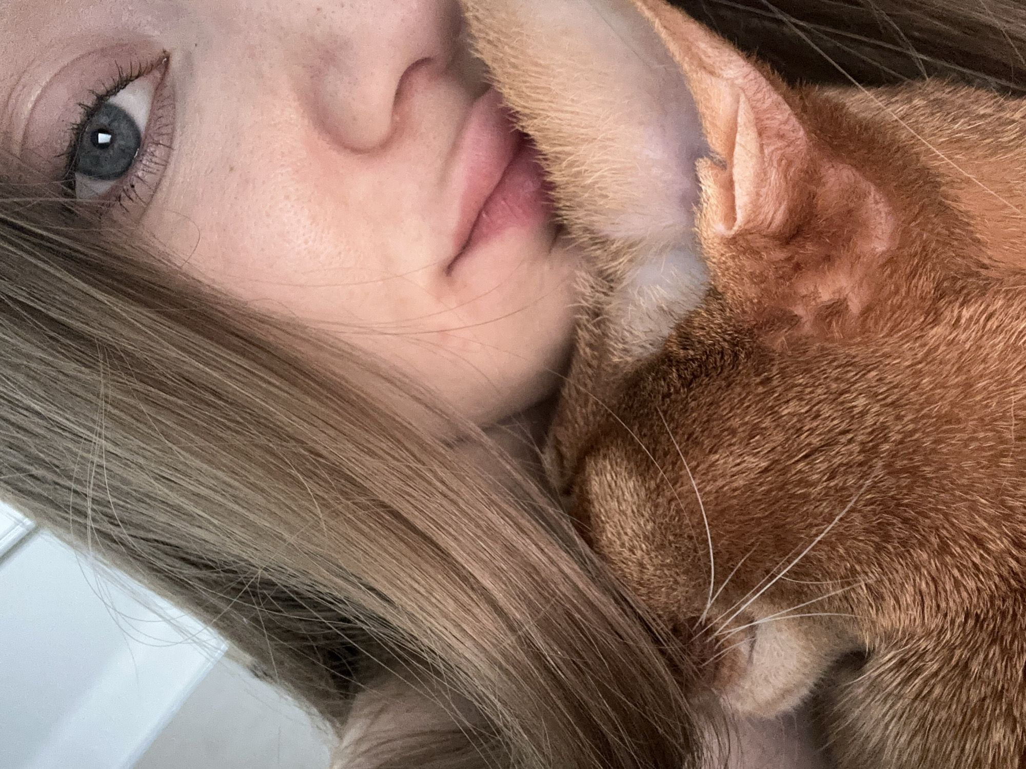A close-up photograph shows a person's face next to an orange cat. The person's left eye is visible and is blue. Their blonde hair is partially visible. Part of the person's nose and mouth is visible. The cat is nestled close to the person's face, with its ear prominently displayed. The location is not discernible from the image.