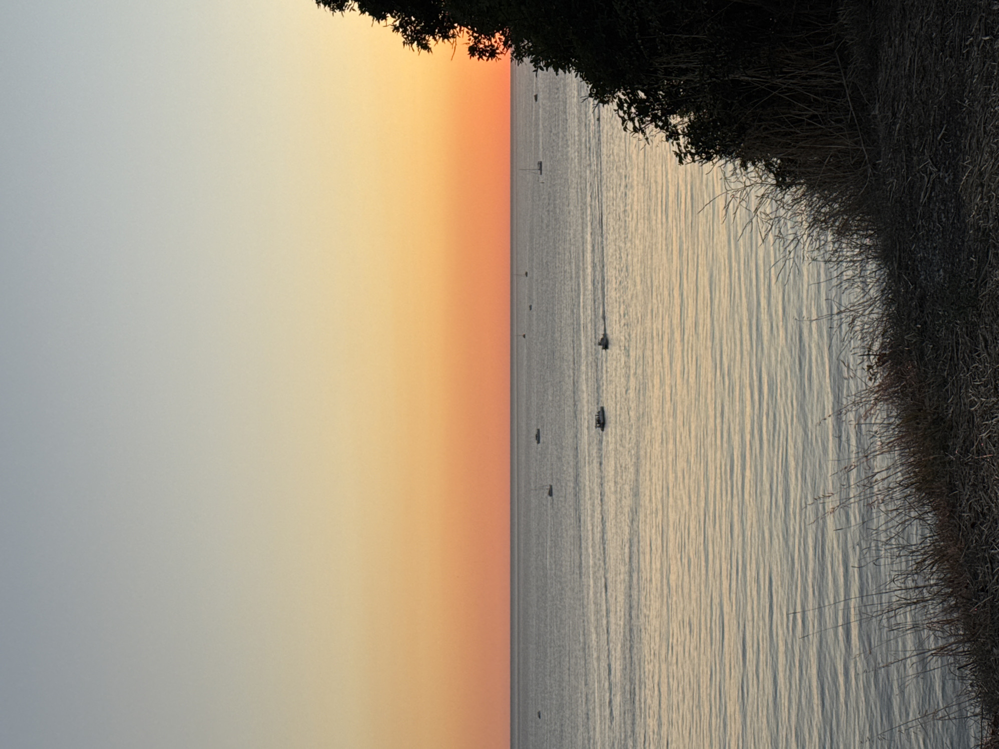 An aerial view captures a serene ocean scene at dusk, with a gradient sky transitioning from pale blue to vibrant orange near the horizon. Several small boats, including sailboats and motorboats, are scattered across the calm water. The foreground shows a grassy embankment with dry vegetation and a dark, shadowy area on the right, likely foliage. The image does not contain any identifiable landmarks or features that would definitively place it in Gelendzhik, Russia.