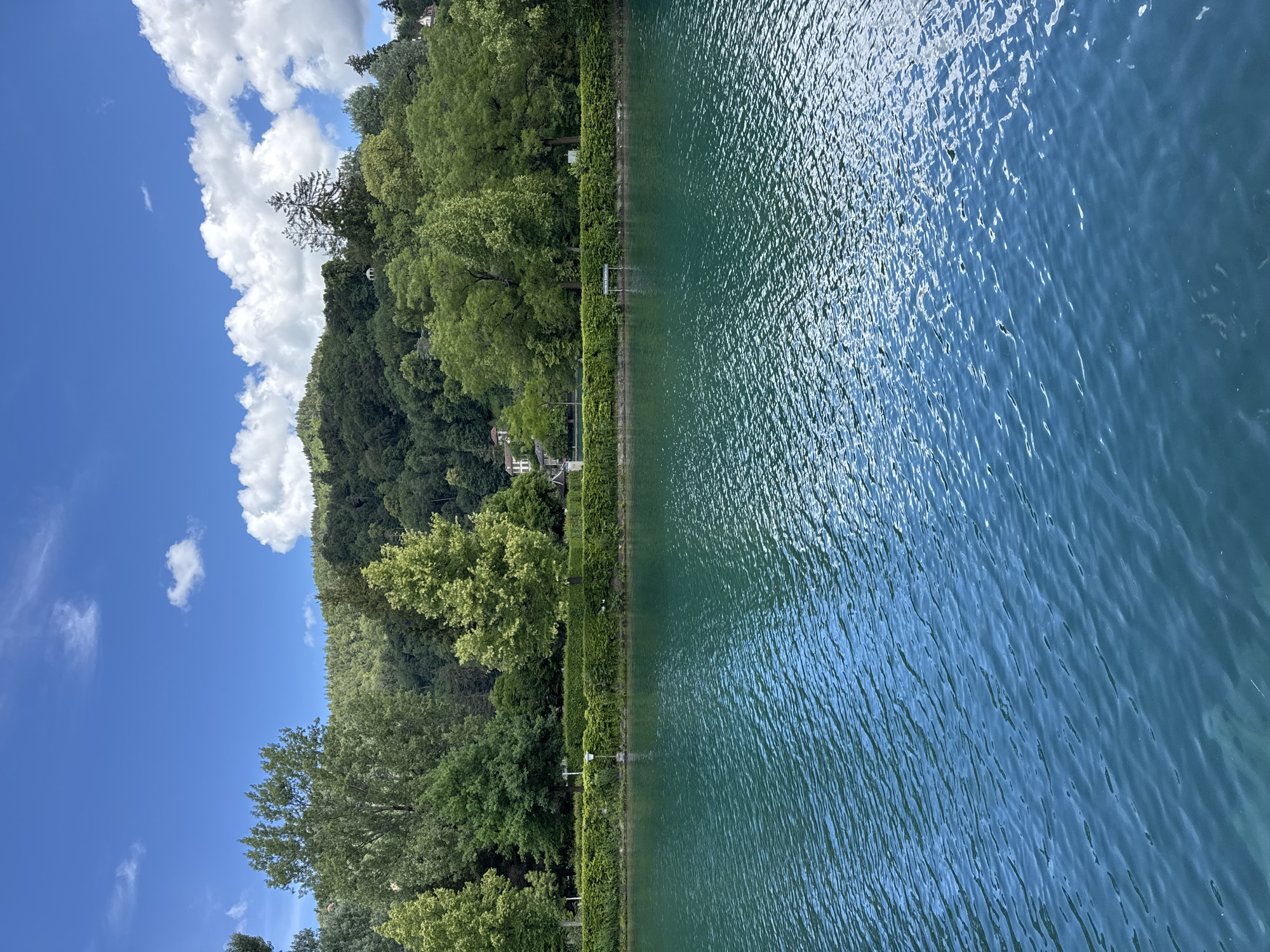 The image depicts a serene scene of the turquoise waters of Lake Thun in Thun, Switzerland, under a partly cloudy sky. The foreground is dominated by the gently rippling water, reflecting the blue sky and white clouds. In the middle ground, a lush green, manicured hedge runs along the edge of the lake, separating it from a grassy area. Several trees of various sizes and shades of green are visible behind the hedge, some taller than others. In the background, a verdant hillside is covered in dense forest, with a few buildings peeking through the trees. The overall impression is one of natural beauty and tranquility. There are no people or discernible actions in the image.