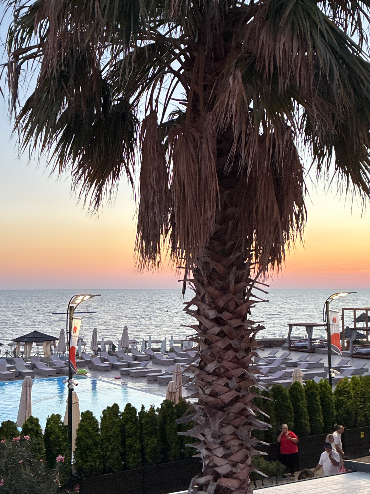 This image depicts a resort area near the sea, likely in Sochi, Russia, during sunset. A large palm tree dominates the foreground, its fronds silhouetted against a sky transitioning from pale blue to soft hues of orange and pink. In the middle ground, the calm, rippling sea stretches to the horizon, with a few small dark figures visible in the water. Along the coastline, a swimming pool with clear blue water is visible on the left, bordered by rows of lounge chairs and umbrellas. Several people are present in the mid-ground and background, some near the pool and others walking along a paved area. One person in a red shirt is standing and looking towards the left. A lamppost with a modern design stands near the pool, featuring a flag with red and white markings. Lush green trees and some flowering bushes line the foreground, creating a verdant barrier. The overall scene suggests a relaxing evening atmosphere at a seaside resort.