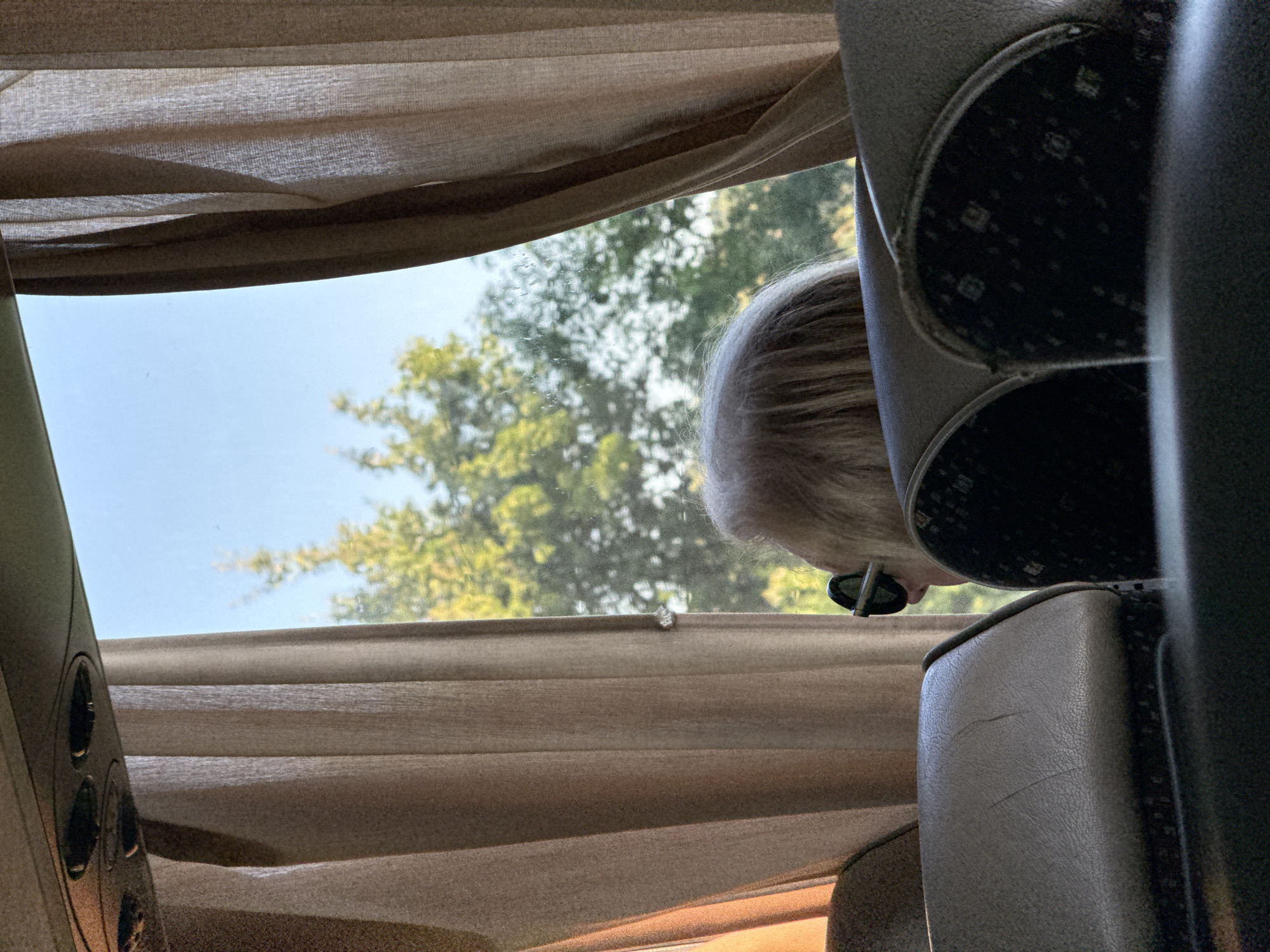 The image shows the interior of a bus, seen from the perspective of a passenger. In the foreground, parts of two seats are visible, one in tan leather and the other with a dark, patterned fabric. In the middle ground, a person with blonde hair and sunglasses is looking out the window. The person's head and shoulders are visible. Through the window, trees and a blue sky are visible. The window is partially obscured by beige curtains. The image appears to have been taken during the daytime. The location is not specified in the image itself.