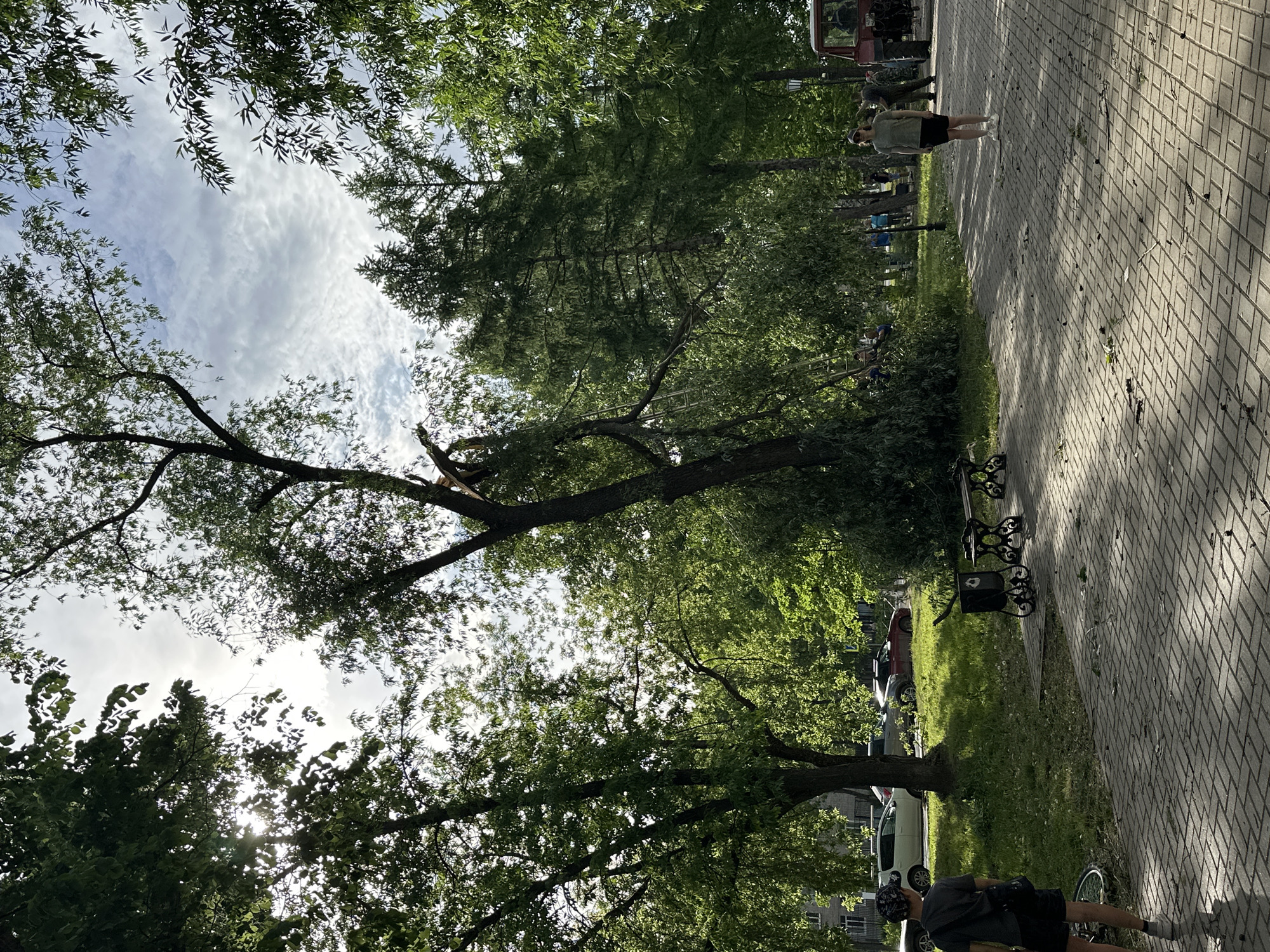The image captures a park scene in Chaikovsky, Russia. The focal point is a mature tree with a large broken branch, likely due to recent weather events. People are present, including a person standing on a paved pathway that runs through the park. Benches, trash cans, and parked cars indicate urban landscaping and usage. The presence of a bicycle near the bottom of the image suggests recreational activities. The sky is partially visible through the foliage, showing cloud cover. Overall, the scene conveys a public park environment, with an indication of recent damage to the tree.