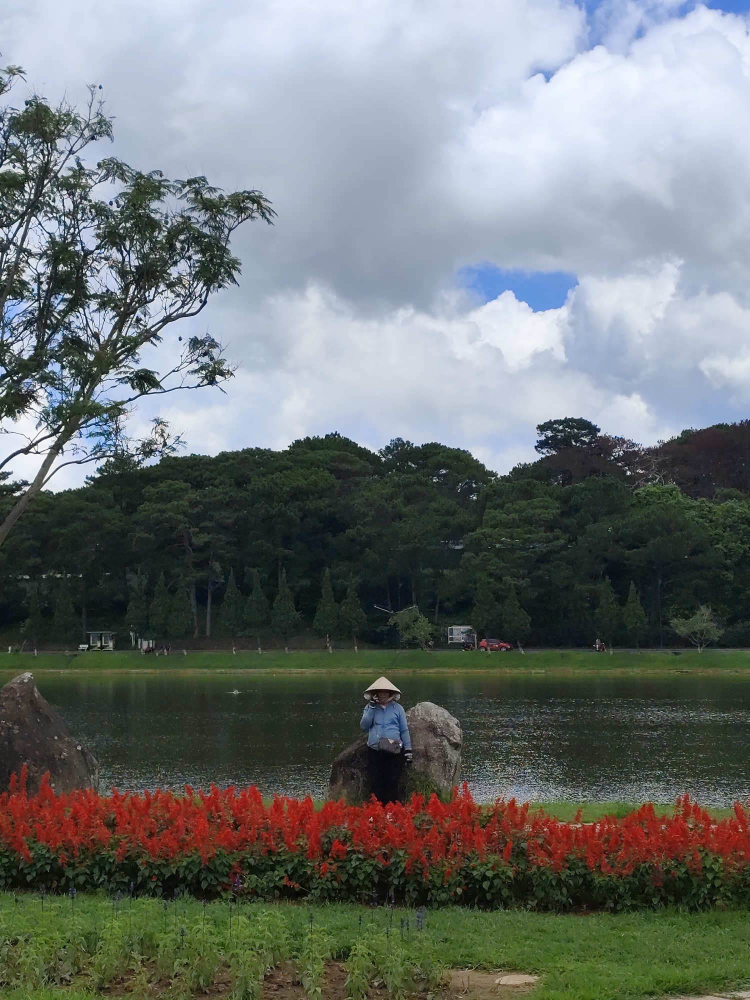 A person wearing a conical hat and a blue jacket stands on a rock next to a lake in Da Lat, Vietnam. The lake is bordered by a line of vibrant red flowers, and behind that, a dense forest of pine trees covers a hill. The sky is partly cloudy, with patches of blue sky visible between large, white clouds. A large tree branch extends into the frame from the left side of the image. In the distance, across the lake, there are some buildings and a road with a few vehicles. The overall scene depicts a peaceful natural landscape in Da Lat.
