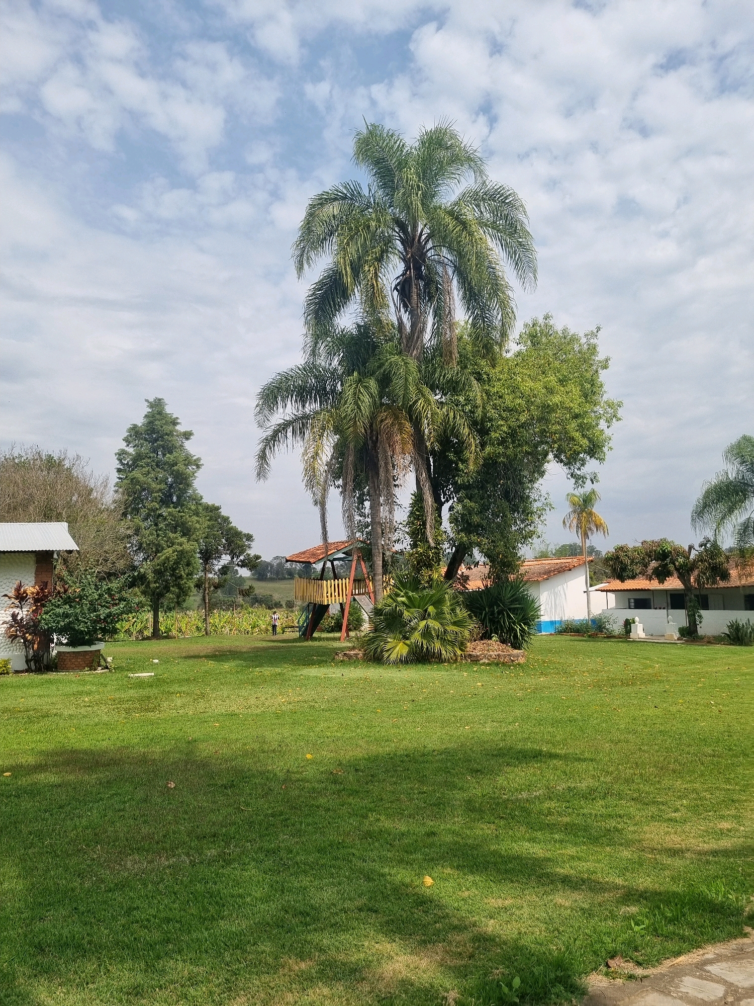 The image depicts a spacious, well-maintained green lawn in front of a white building with a red tile roof, set in the city of Laranjal Paulista, Brazil. A large palm tree dominates the center of the scene, with a wooden playground structure situated to its right. In the background, a forest and rolling hills are visible under a cloudy sky. A person, dressed in dark pants and a white shirt, stands near the playground. The ground is covered in lush green grass with scattered yellow leaves. To the left, a portion of a white building with a corrugated roof and a brick base is visible, surrounded by green foliage.