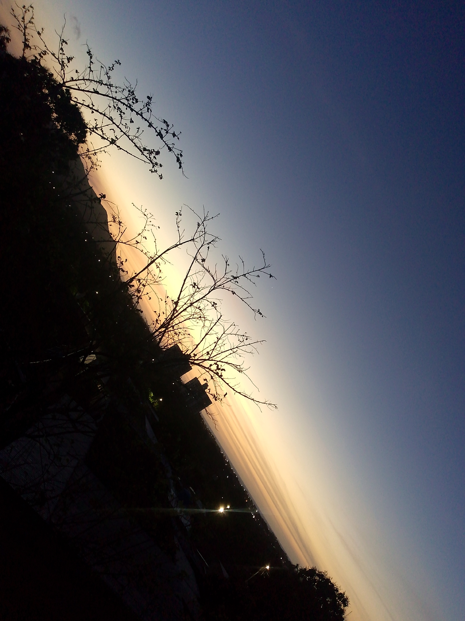 This image presents a tilted, panoramic view of a sunset or sunrise over the city of Juan Griego, Venezuela. The horizon line runs diagonally from the lower-left to the upper-right quadrant. The sky transitions from a bright, pale orange-yellow at the horizon to a deep indigo blue in the upper-right. Streaks of clouds are present along the lighter horizon. In the foreground and midground, silhouetted branches of deciduous trees, largely devoid of leaves, extend across the left and central portions of the frame. Dense, dark masses of vegetation are visible on the far left, obscuring parts of a hillside. In the distance, along the horizon, a series of bright, scattered lights indicate the presence of urban infrastructure. A prominent silhouetted multi-story building is discernible against the fading light on the mid-right side of the image. No individuals, explicit actions, or direct interactions are visible. The overall environment suggests a twilight period over a coastal urban landscape.