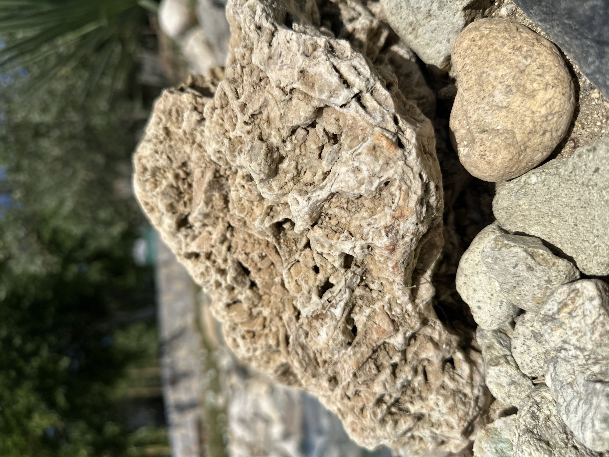 A close-up, low-angle outdoor photograph captures a cluster of textured, tan and gray rocks under natural sunlight. In the foreground, a large, porous, tan rock dominates the frame, its surface pitted with numerous small holes and crevices, revealing layers of lighter and darker mineral deposits. Below and to the right of this large rock, a smaller, heart-shaped, tan rock rests. The background is softly blurred, showing more rocks and a hint of greenery, likely trees and foliage, suggesting a natural setting. The ground appears to be a mixture of sand and small gravel. The overall scene is static, with no visible human activity or interaction. The image does not provide any specific details that would indicate its location within the city of Sklave, Bulgaria, or any other specific geographic locale.