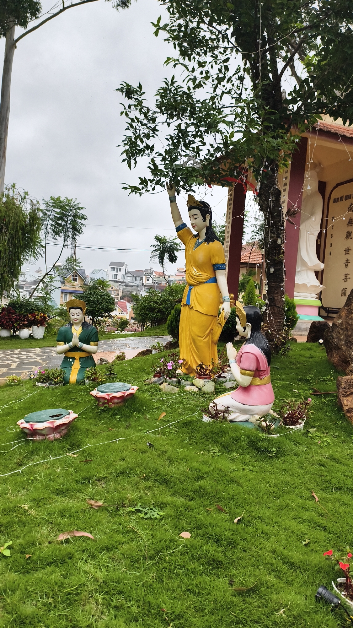 This image captures a serene scene at a Buddhist temple in Da Lat, Vietnam, possibly Thien Vuong Pagoda, known for its tranquil gardens. The foreground is dominated by a lush, green lawn dotted with scattered leaves and small plants. Three prominent statues are arranged on the grass. To the left, a male figure is kneeling with hands pressed together in a prayerful gesture, clad in a green and yellow robe. In the center, a larger female statue stands tall, adorned in a vibrant yellow dress with blue trim, her right arm raised as if reaching for something in the tree above. To the right, another kneeling figure, dressed in a pink and white outfit with a golden belt, also has hands clasped in prayer. In front of the kneeling figures, three lotus-shaped decorative elements, possibly planters, are visible. Behind the statues, the temple structure is partially visible, featuring a red roofline and an adjacent white statue. The background shows a hillside populated with houses and trees, under an overcast sky. The overall atmosphere is one of peace and devotion.