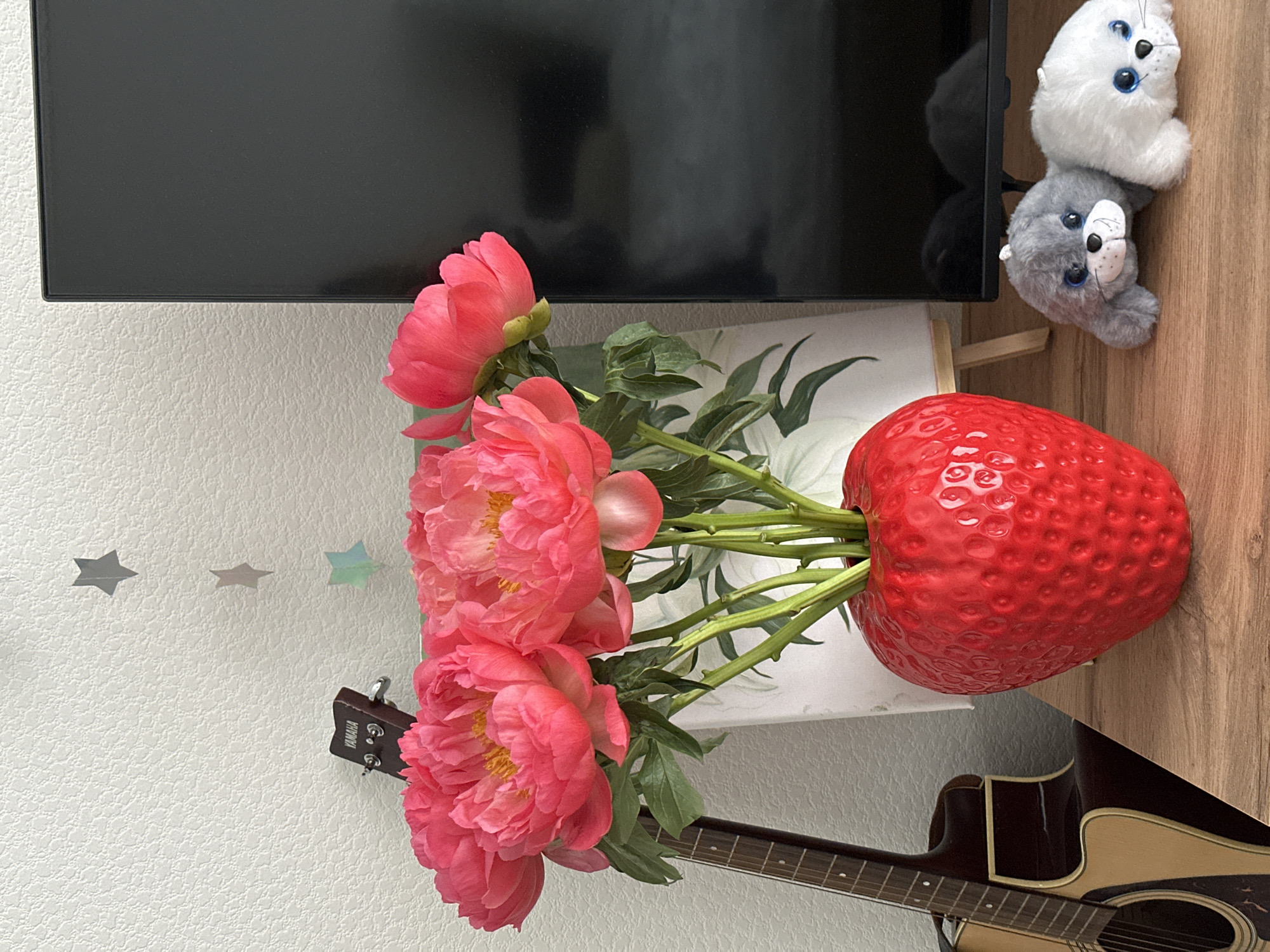 The image displays an indoor scene, likely a room in a home, with a white textured wall on the left and a wooden surface extending from the right. The image is originally oriented vertically but depicts elements typically arranged horizontally.
In the center, a vibrant bouquet of several large, coral-pink peonies with green leaves and stems is prominently displayed. These flowers are arranged in a distinctive, glossy red, strawberry-shaped vase, which rests on the wooden surface. Behind the flowers, a partially visible white canvas on a small wooden easel shows faint green leaf patterns.
Above the flowers and easel, a black flat-screen television is visible, possibly mounted on the wall or resting on a shelf. Reflections are visible on its screen. To the right of the television, also on the wooden surface, two small plush toys resembling seals are placed: one white and one grey, both with bright blue eyes.
On the white wall to the left, three small, metallic star-shaped decorations are affixed. In the lower part of the image, an acoustic guitar is visible; its dark brown headstock, featuring tuning pegs and the "YAMAHA" brand name, extends towards the left from behind the flowers, while part of its body with a light-colored pickguard is seen beneath the strawberry vase.
The scene suggests a personal, decorative arrangement in a living area or bedroom. No people or specific activities are depicted. The lighting is ambient, characteristic of indoor settings. The location context is Moscow, Russia.